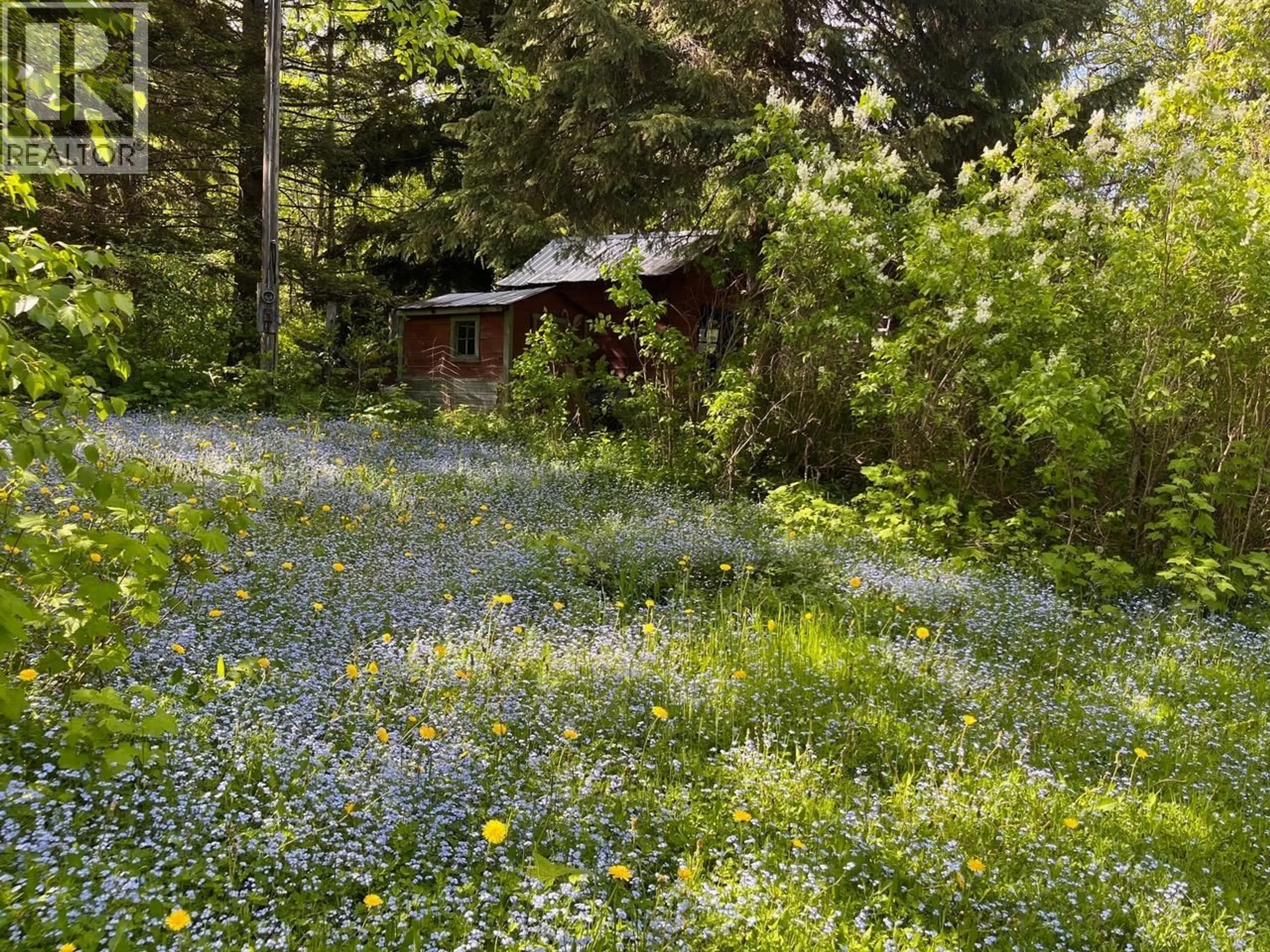 Shed for 3777 FISHER ROAD, Blue River British Columbia V0E1C0