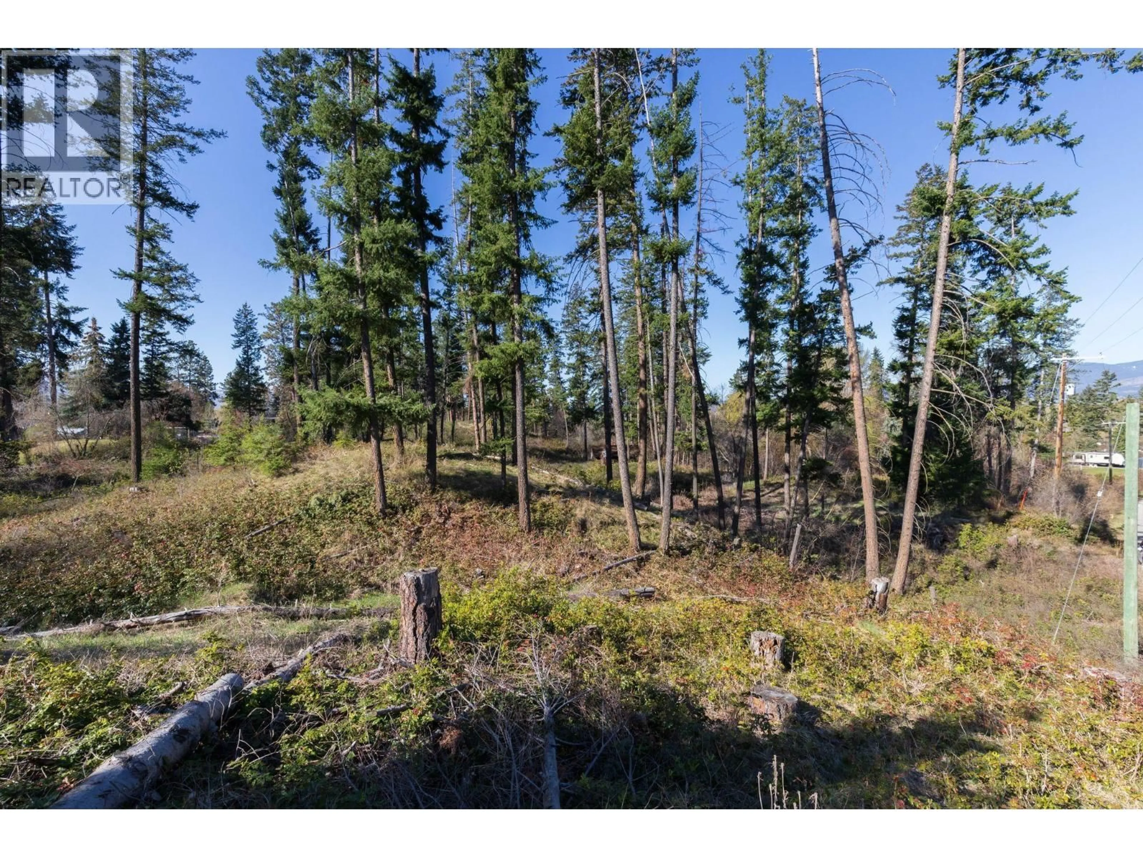 A pic from outside/outdoor area/front of a property/back of a property/a pic from drone, forest/trees view for 3281 HALL ROAD, Kelowna British Columbia V1W2V1
