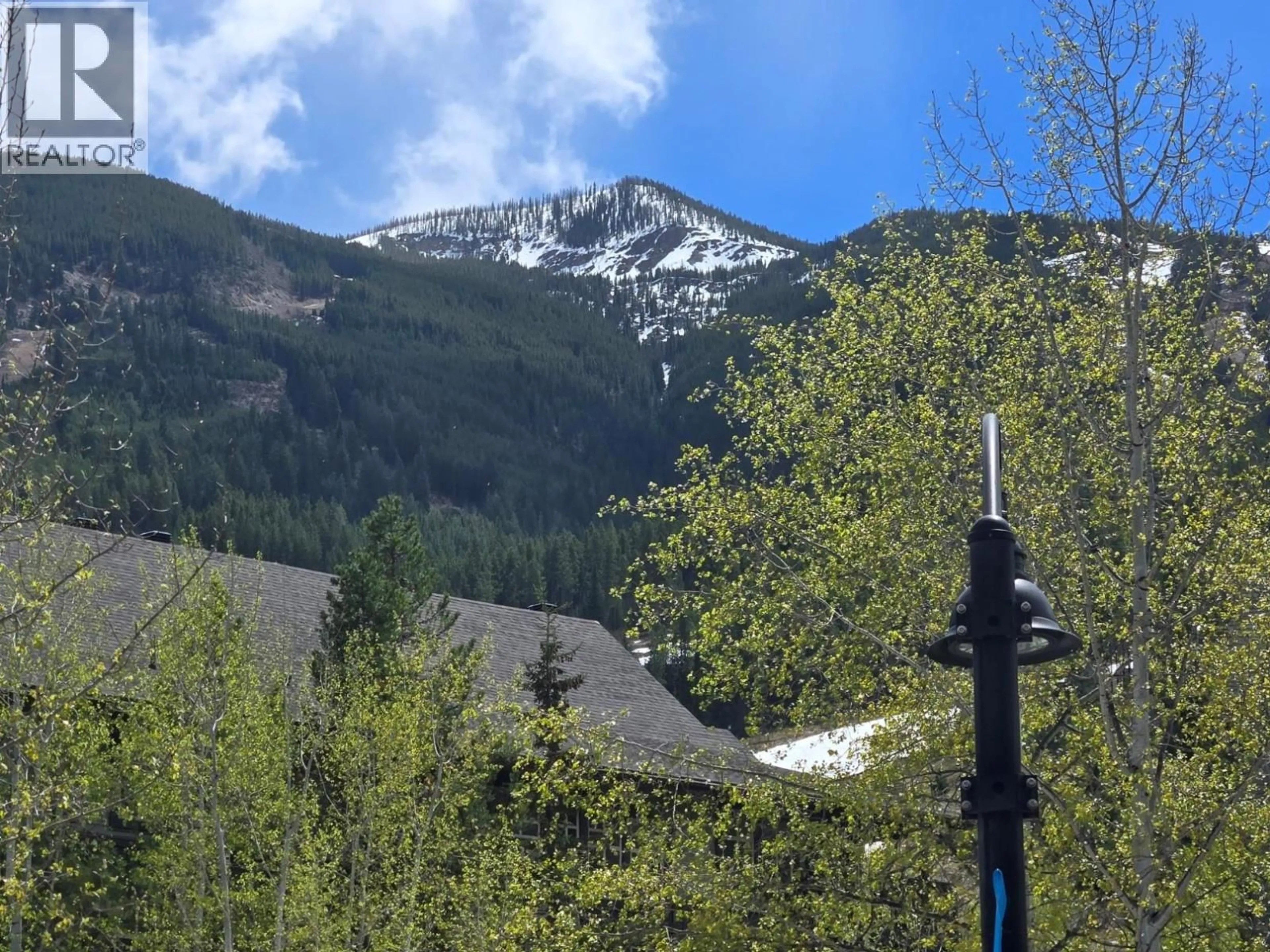 Blurry image for 223 B - 2049 SUMMIT DRIVE, Panorama British Columbia V0A1T0