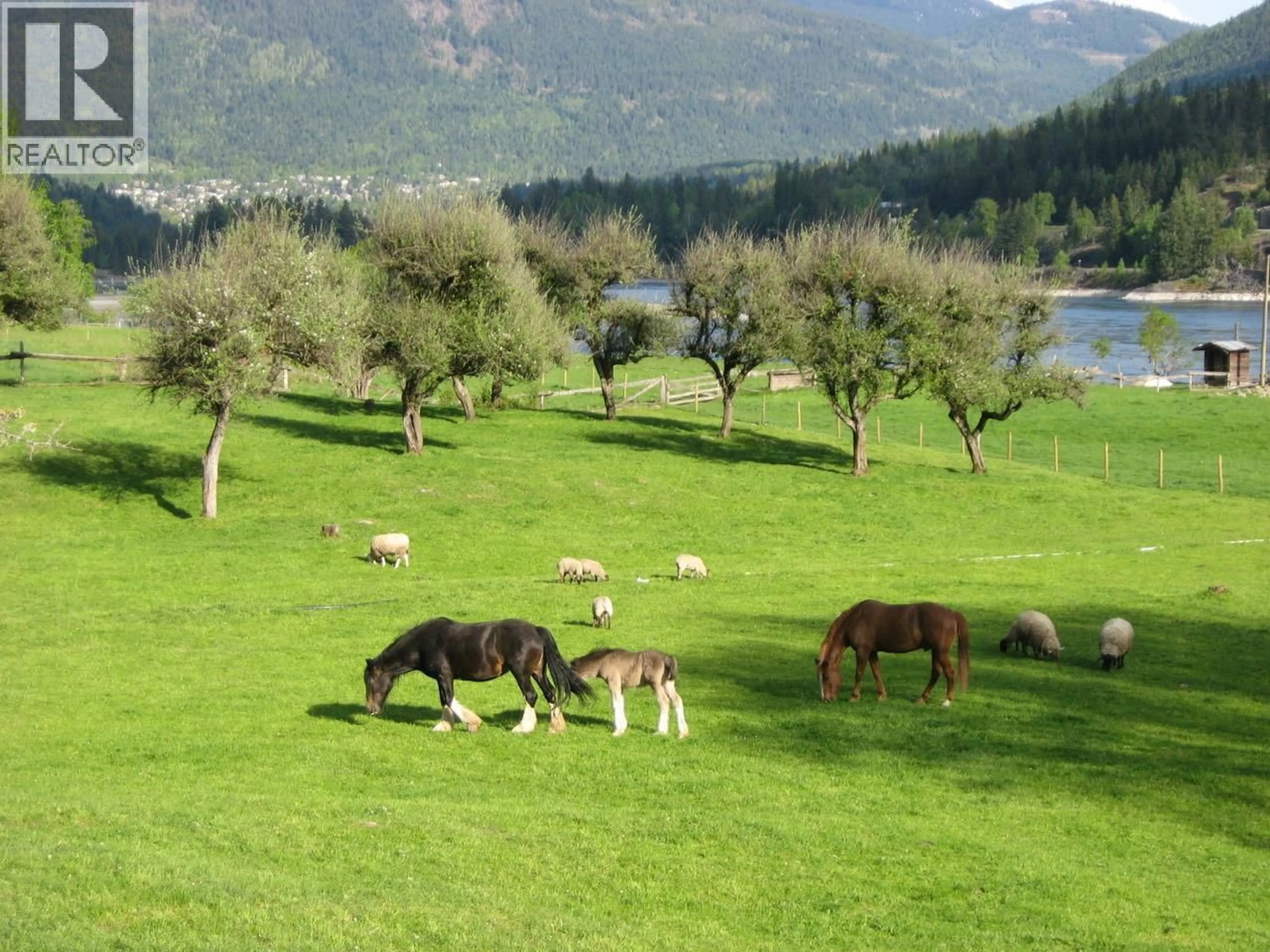 Unknown for 6302 MARSDEN ROAD, Nelson British Columbia V1L6X9