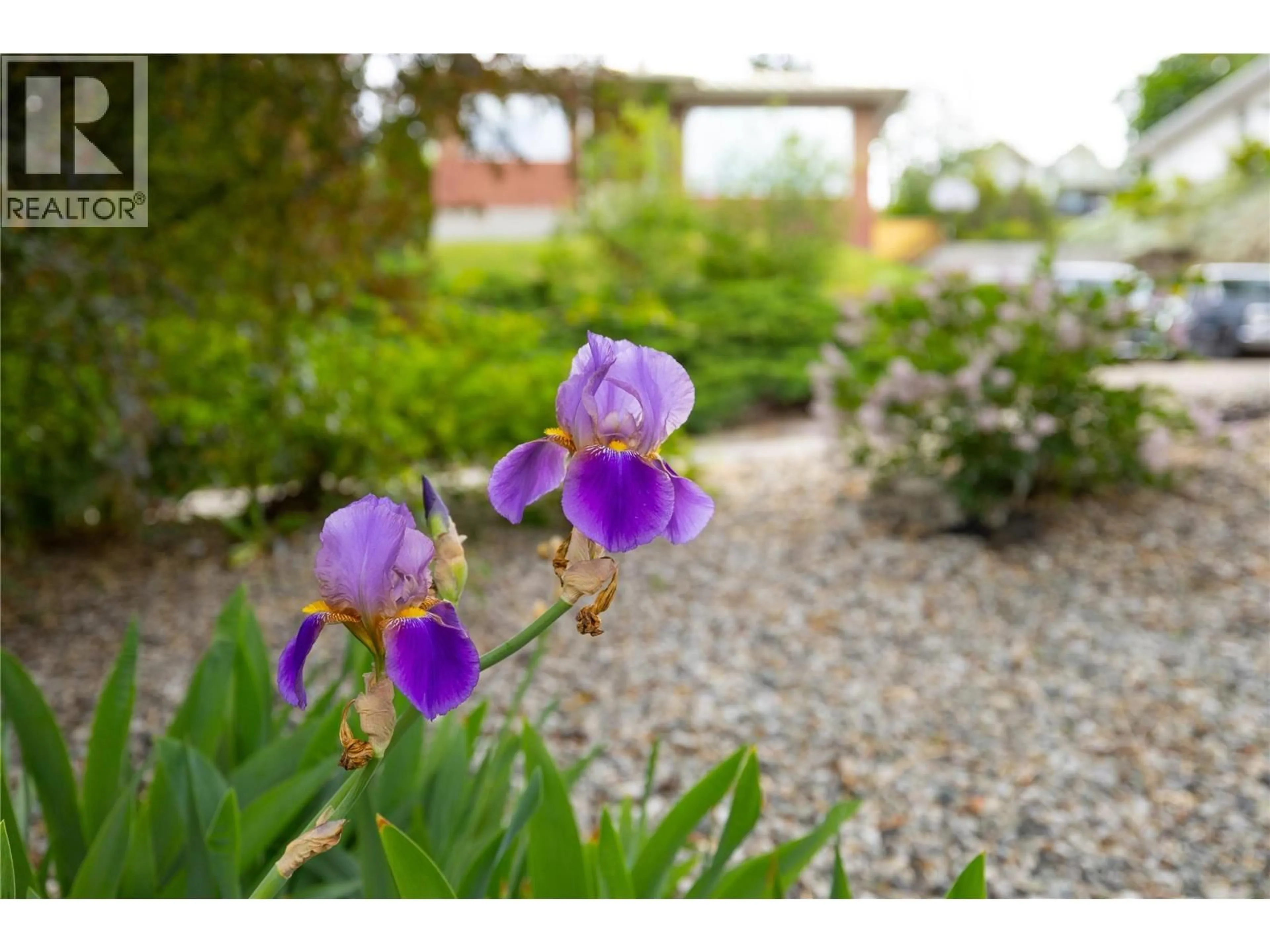 Blurry image for 2904 24 STREET, Vernon British Columbia V1T4N2