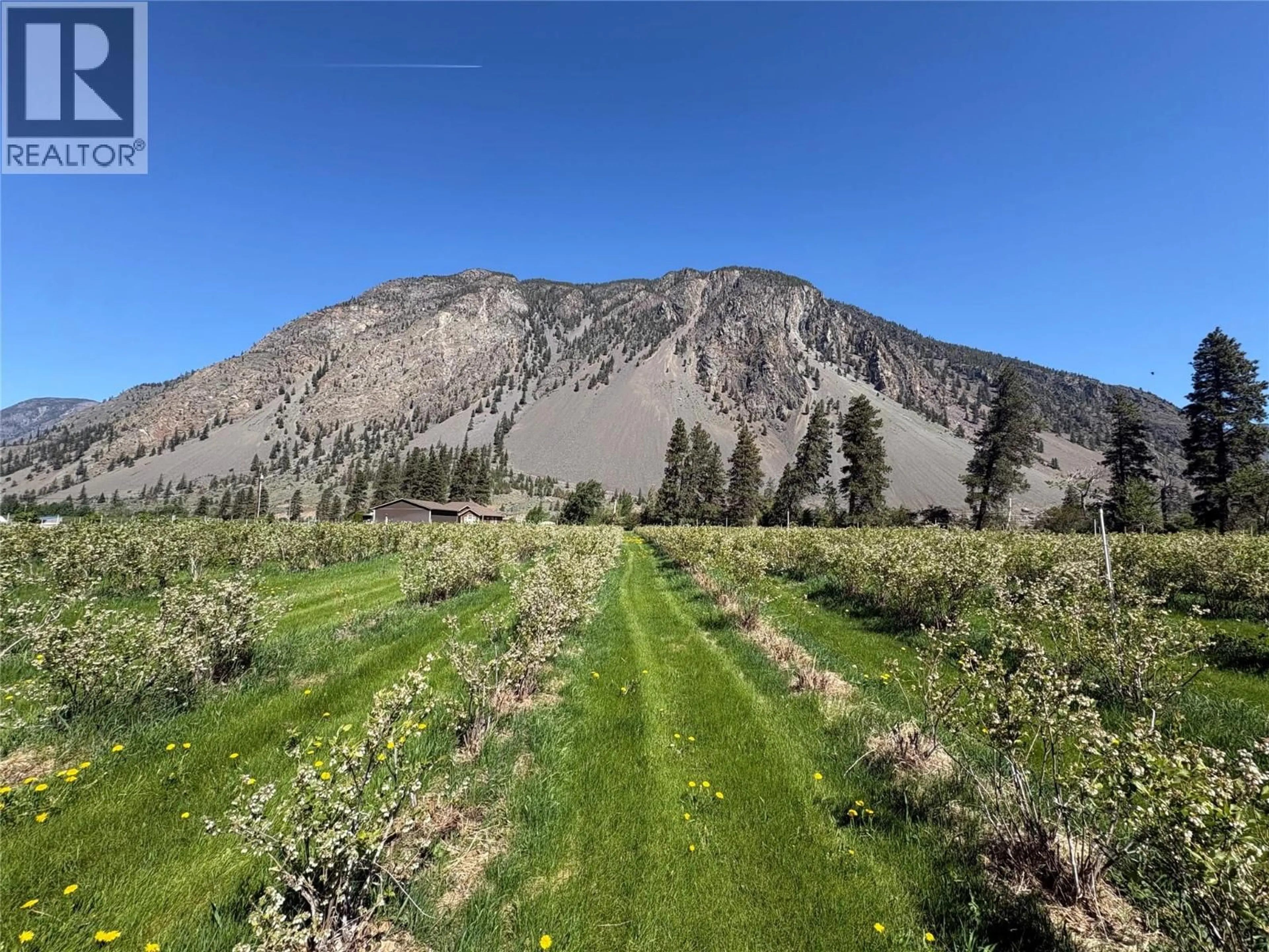 A pic from outside/outdoor area/front of a property/back of a property/a pic from drone, mountain view for CORY ROAD, Keremeos British Columbia V0H1N0