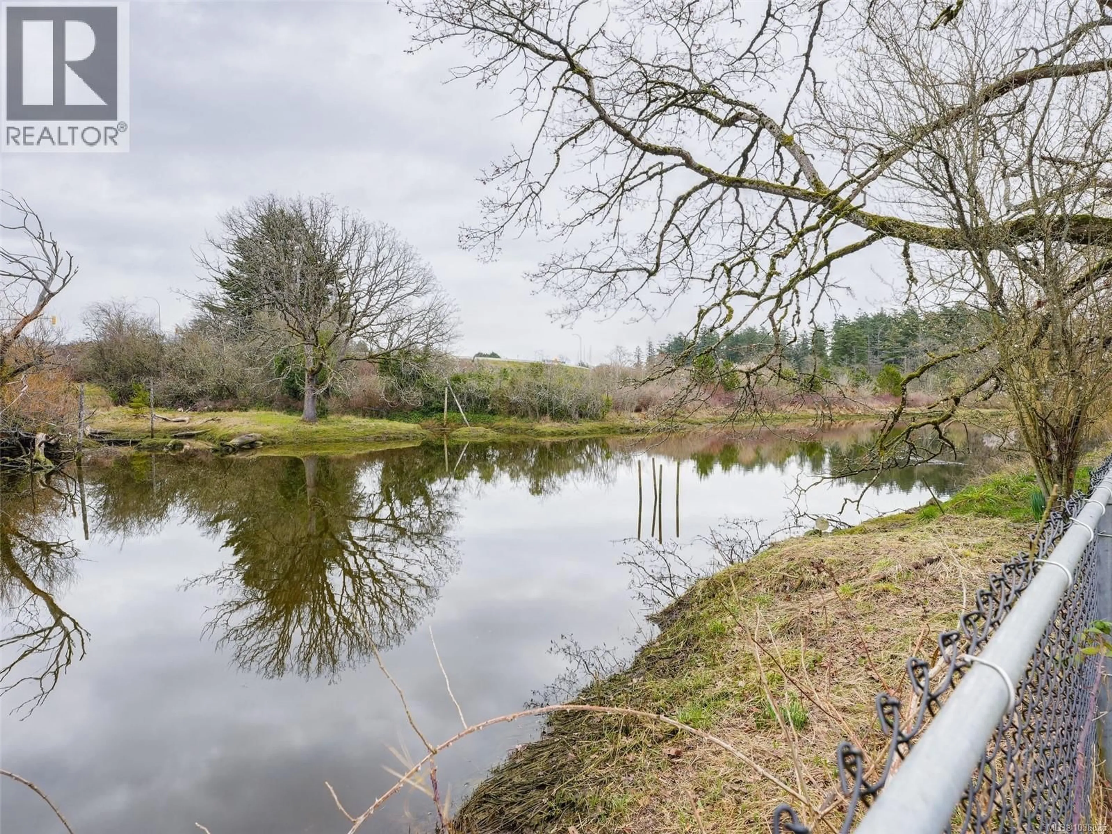 A pic from outside/outdoor area/front of a property/back of a property/a pic from drone, water/lake/river/ocean view for 756 NEWBURY STREET, Saanich British Columbia V9A2C1