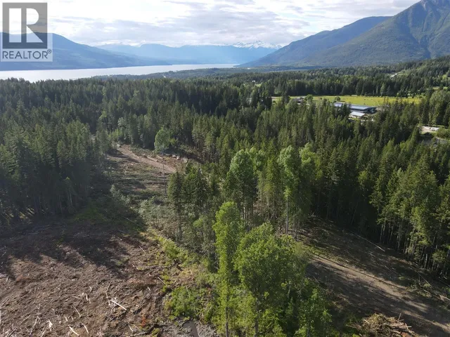 944 GUIDON ROAD, Nakusp 3