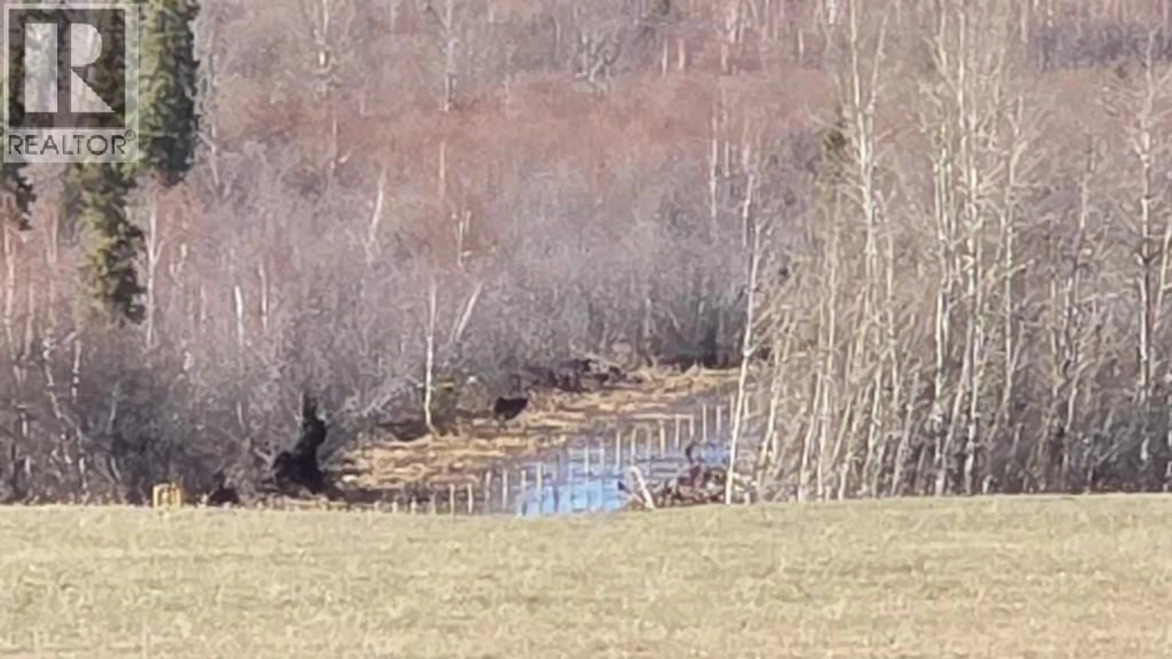 Blurry image for 3149 HIGHWAY 97 OTHER, Dawson Creek British Columbia V1G4R0