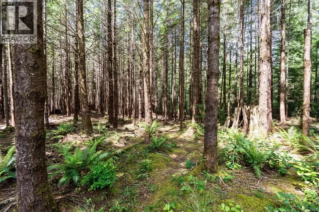 3890 TRAILHEAD DRIVE, Sooke 5