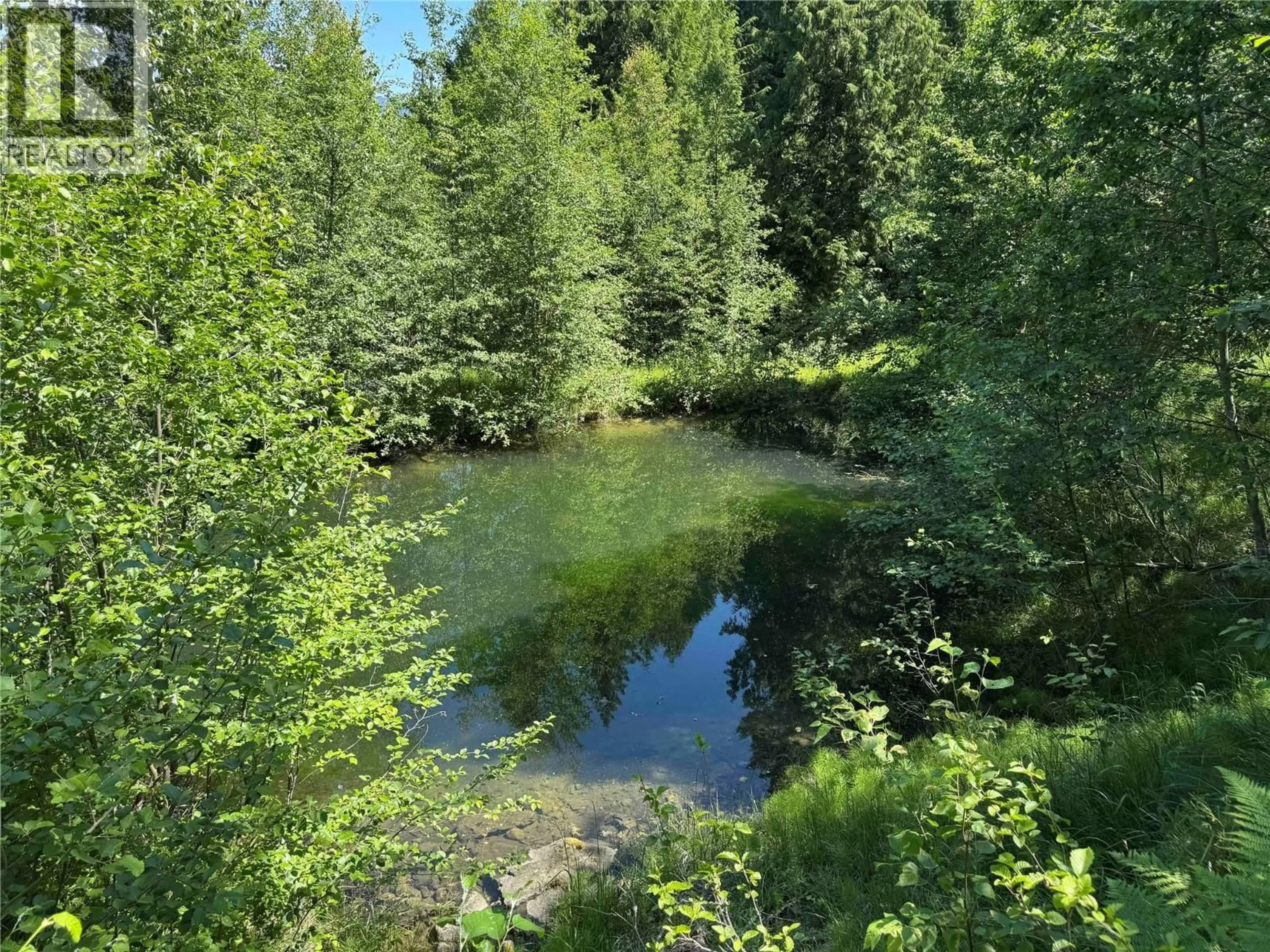 A pic from outside/outdoor area/front of a property/back of a property/a pic from drone, forest/trees view for 4399 BIRD CREEK ROAD, Nelson British Columbia V1L6X2