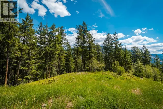 999 KENNEDY OTHER, Lillooet 2