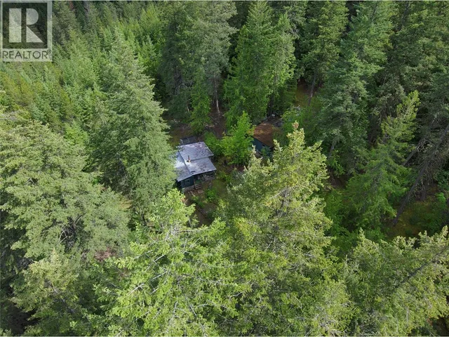 648 LOWER ARROW LAKE ROAD, Renata 5