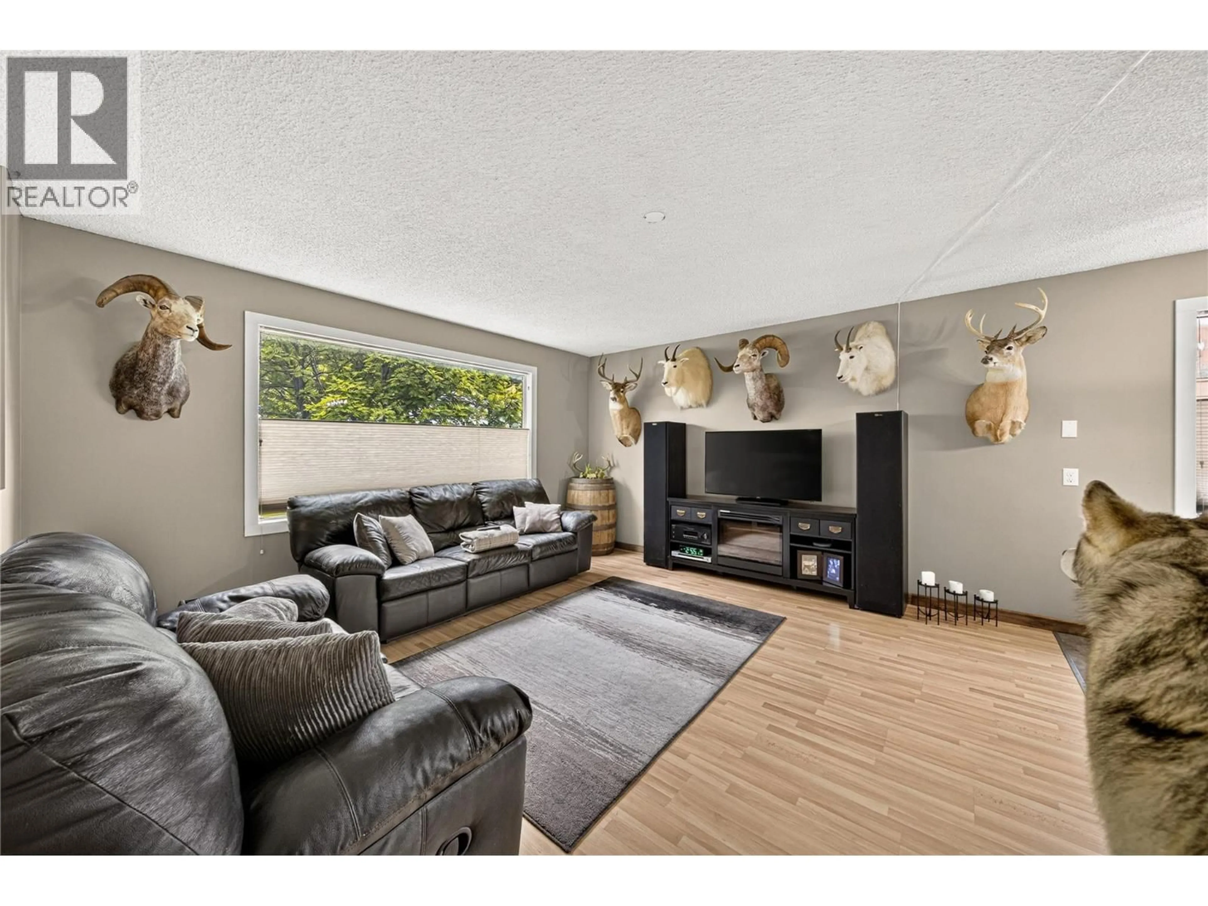 Living room with furniture, unknown for 2613 ALPINE DRIVE, Elkford British Columbia V0B1H0