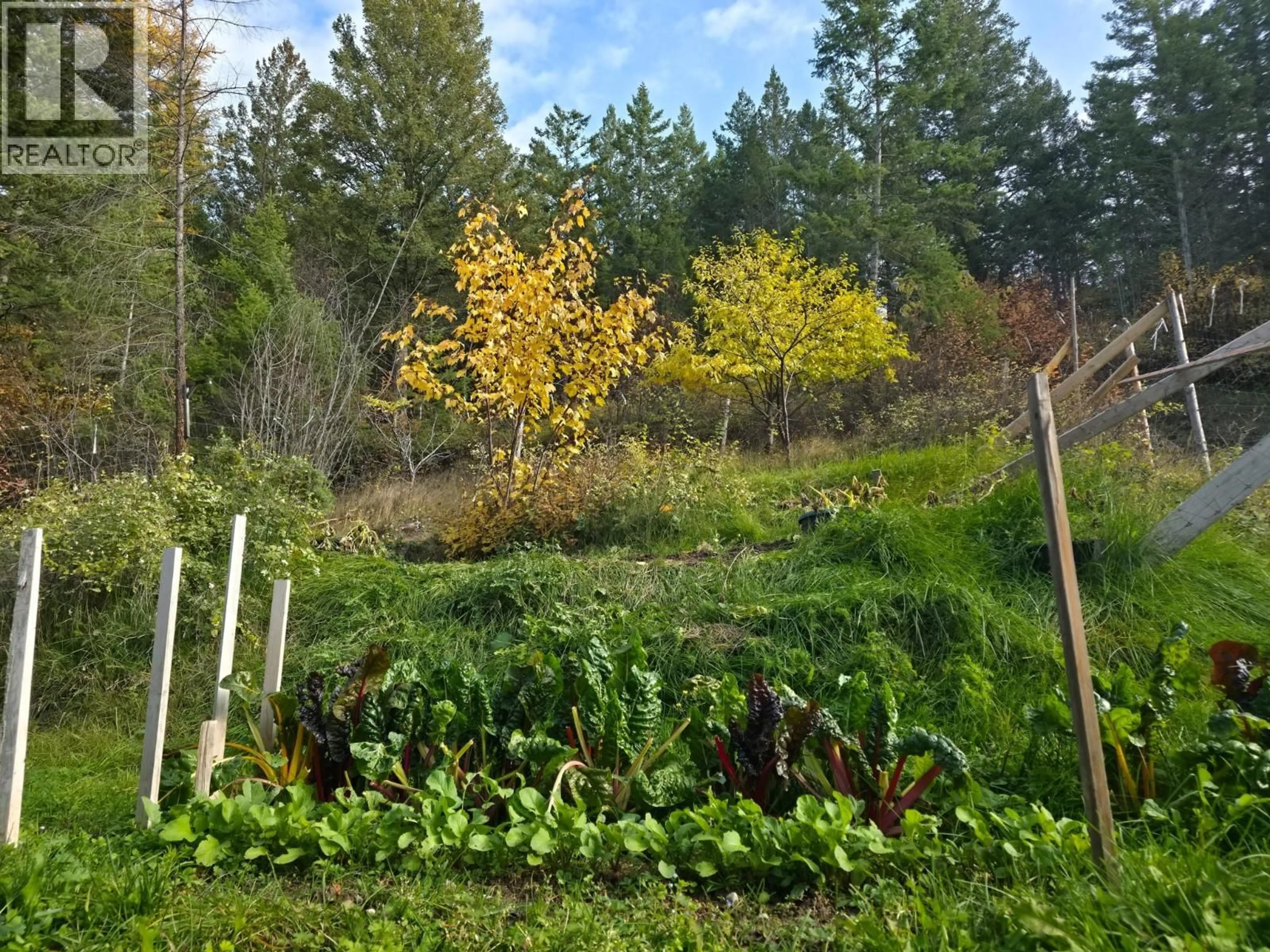 A pic from outside/outdoor area/front of a property/back of a property/a pic from drone, forest/trees view for 3650 PHILLIPS ROAD, Creston British Columbia V0B1G2