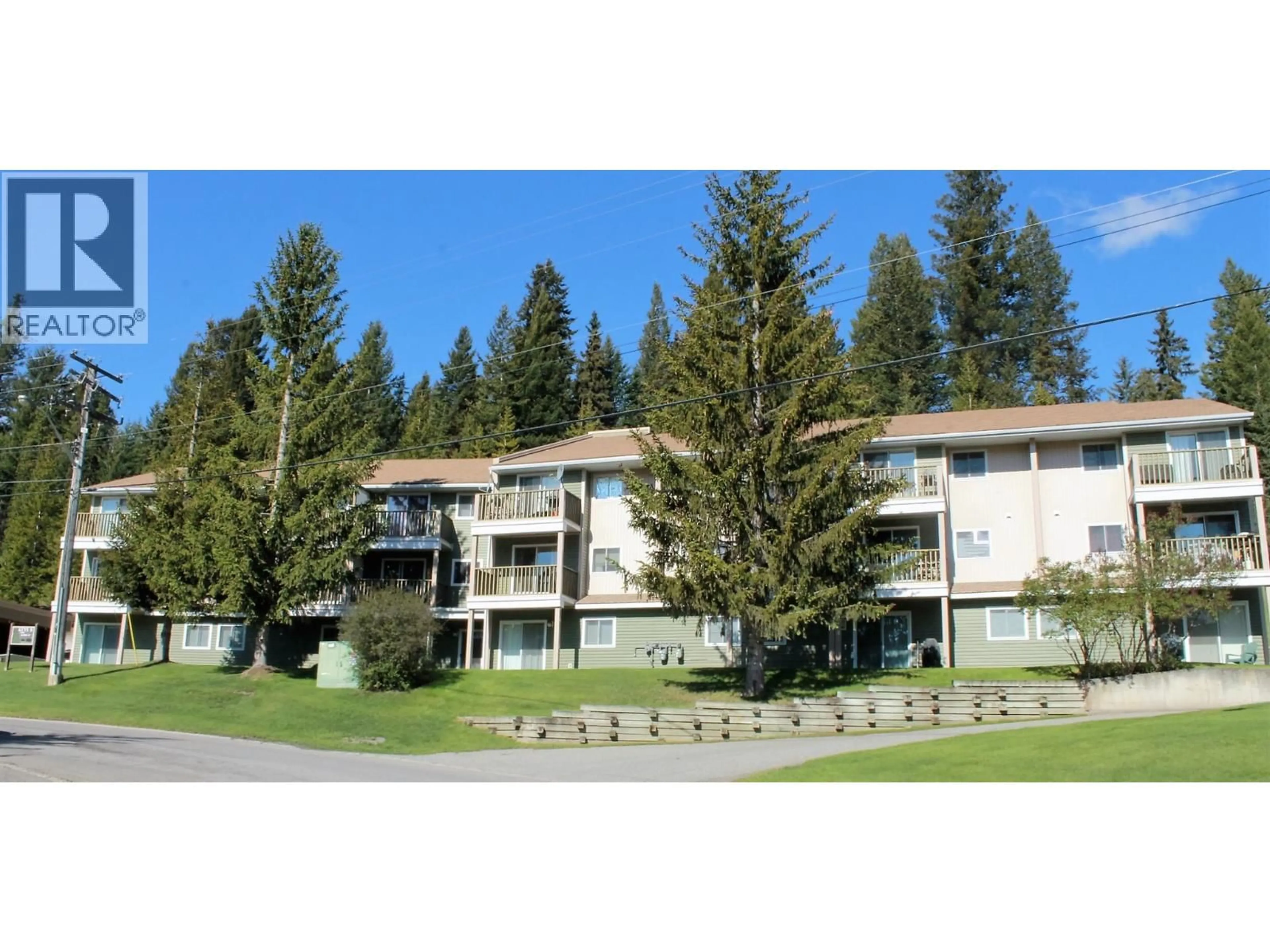 A pic from outside/outdoor area/front of a property/back of a property/a pic from drone, mountain view for 106B 1335 ALPINE DRIVE, Elkford British Columbia V0B1H0