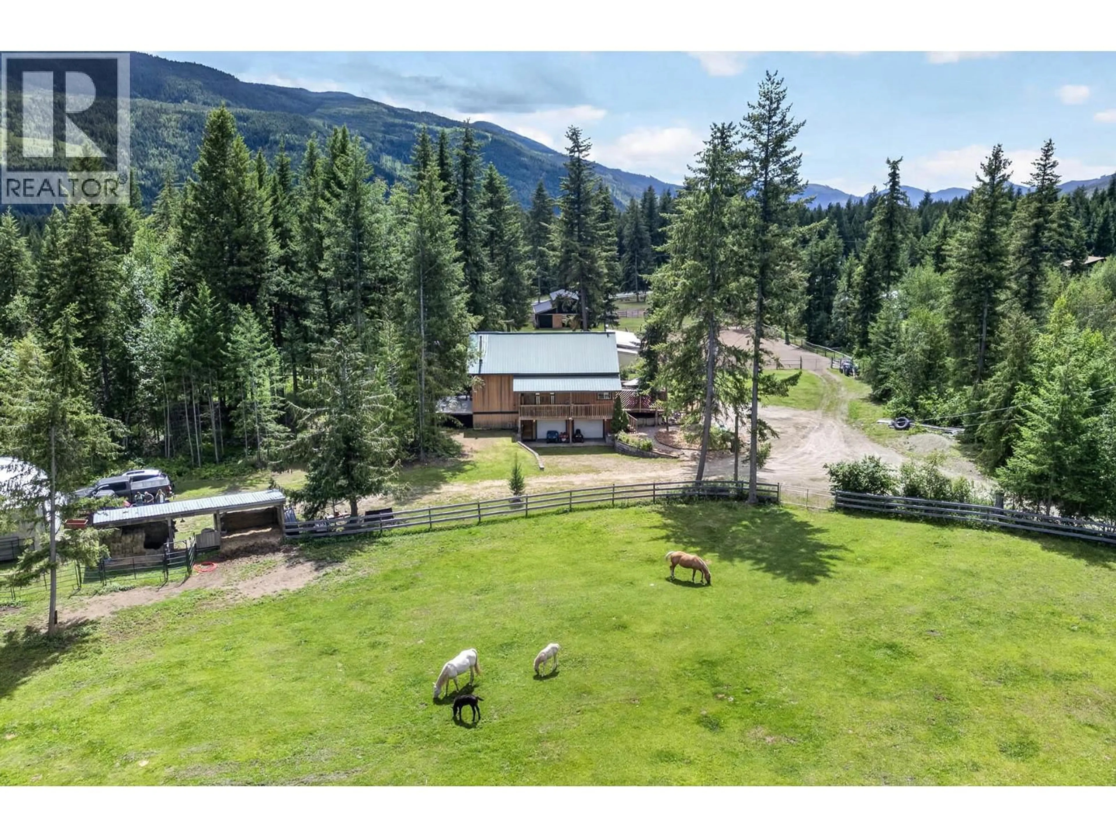 A pic from outside/outdoor area/front of a property/back of a property/a pic from drone, mountain view for 230 SUNSHINE VALLEY ROAD, Clearwater British Columbia V0E1N2