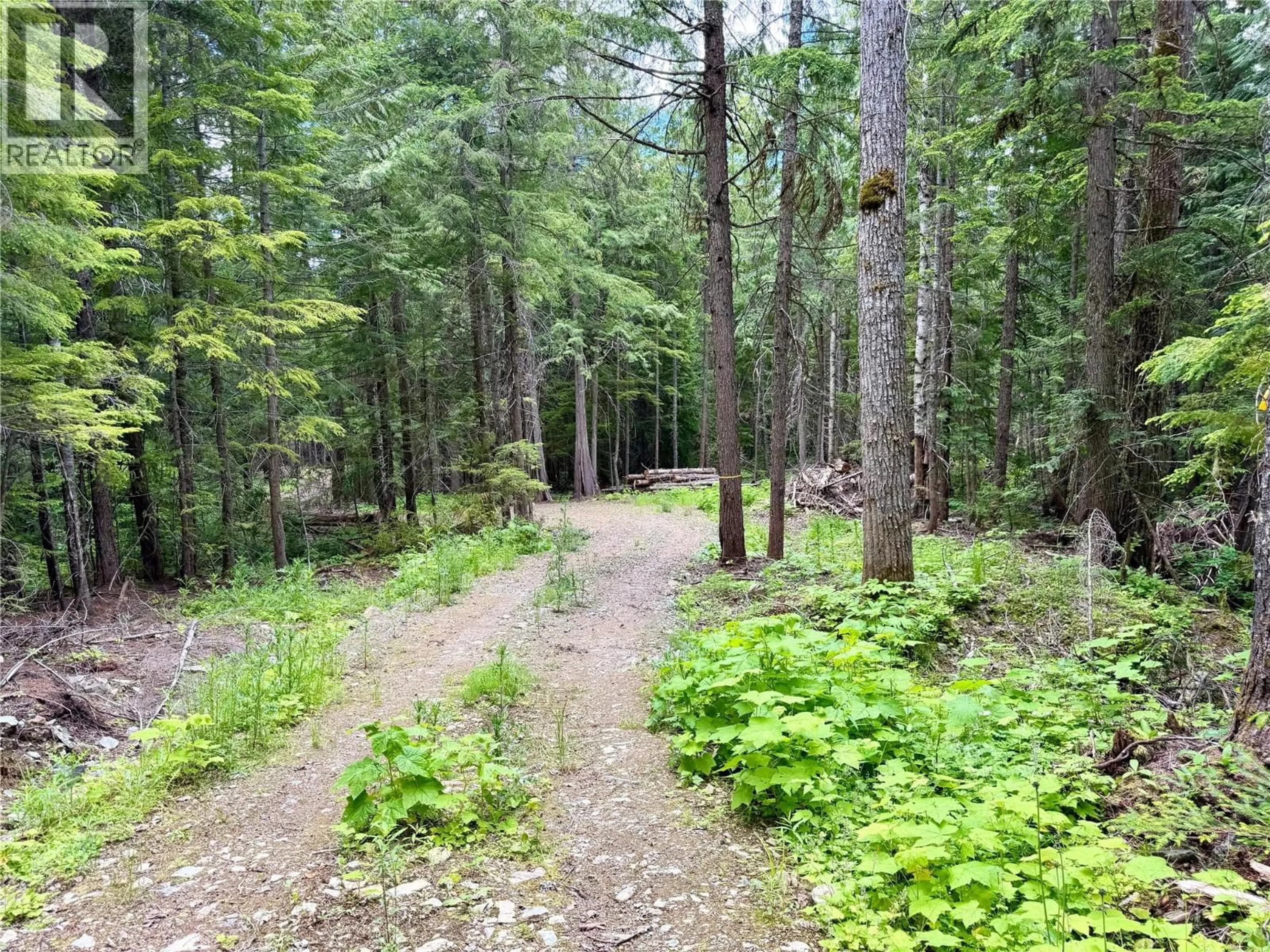 Unknown for 6610 6 HIGHWAY, Ymir British Columbia V0G2K0