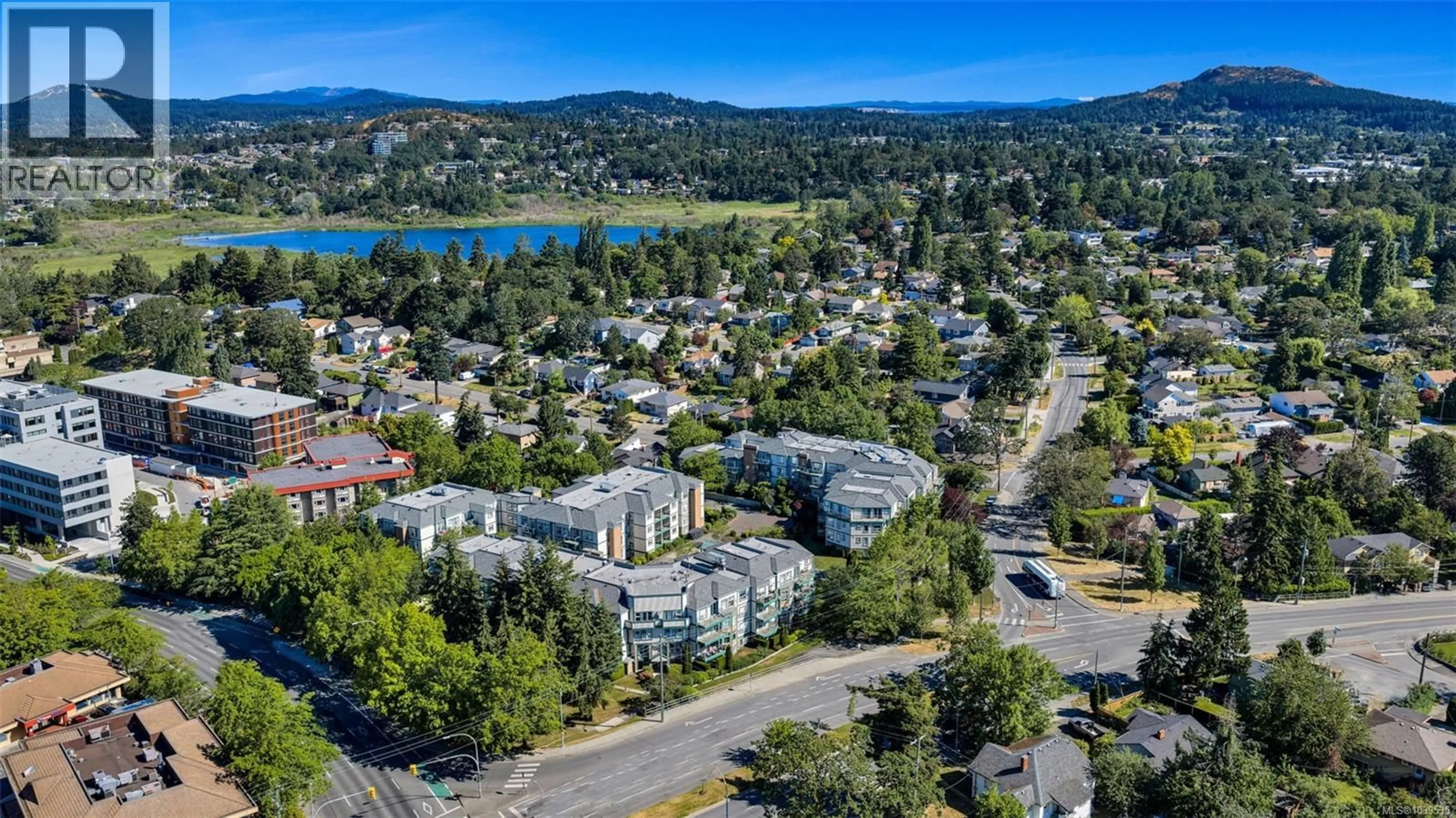 A pic from outside/outdoor area/front of a property/back of a property/a pic from drone, mountain view for 211 - 898 VERNON AVENUE, Saanich British Columbia V8X2W6