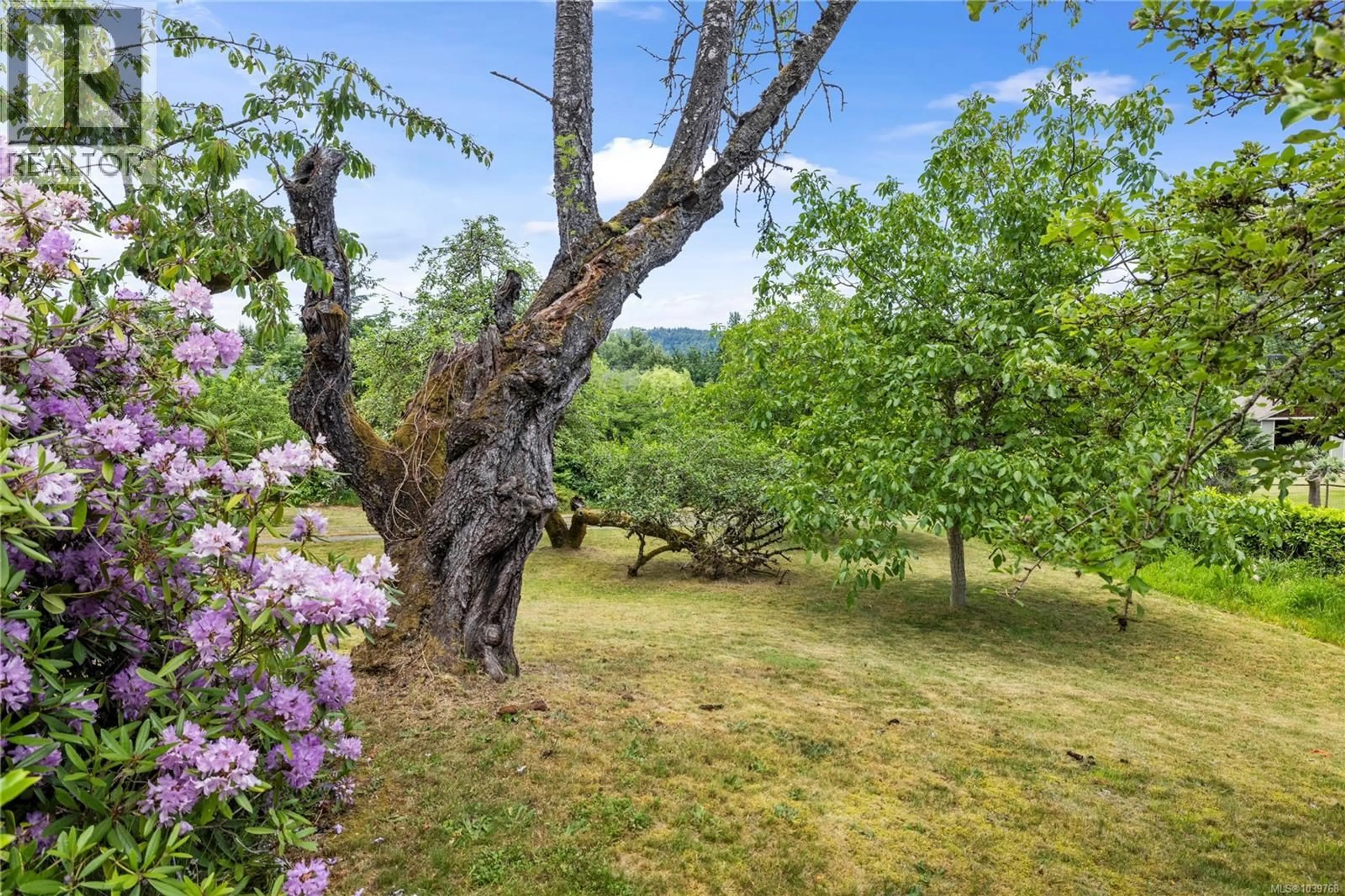 Patio, forest/trees view for 5002 GROUHEL ROAD, Ladysmith British Columbia V9G1J4