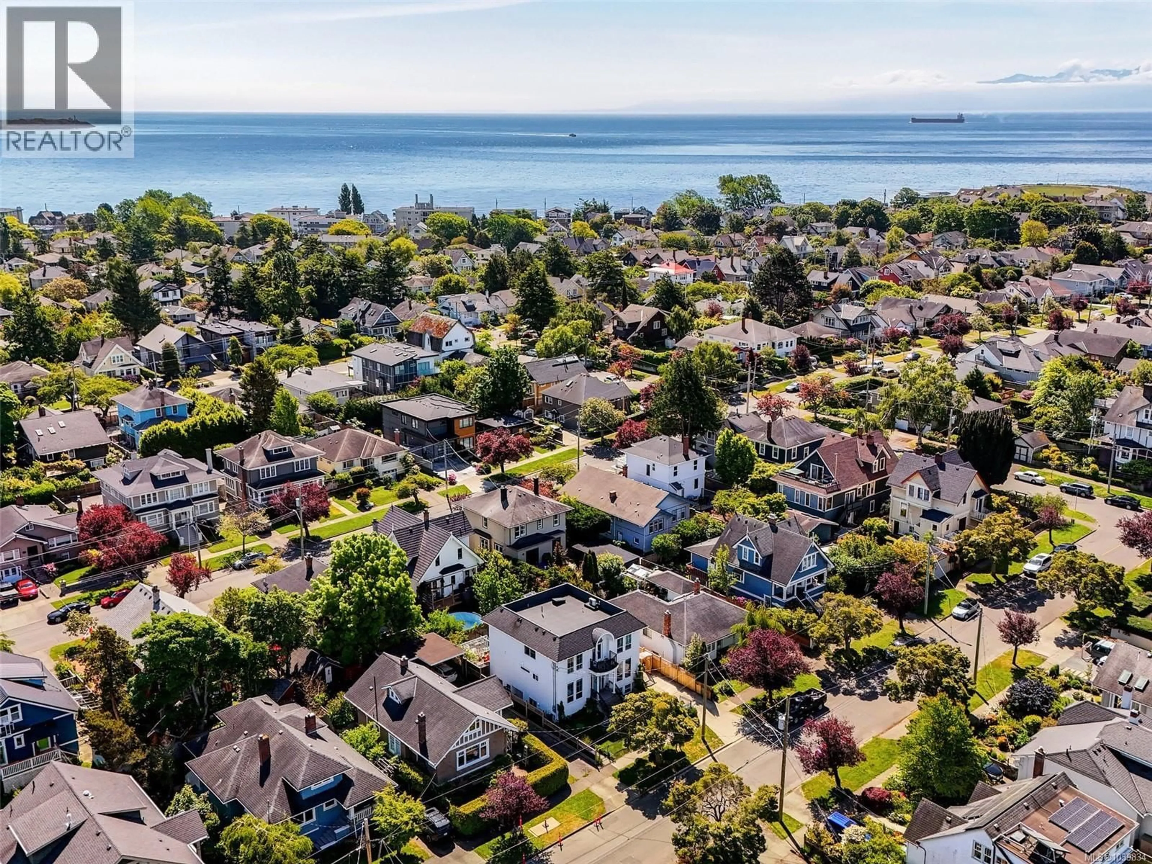 A pic from outside/outdoor area/front of a property/back of a property/a pic from drone, water/lake/river/ocean view for 127 WELLINGTON AVENUE, Victoria British Columbia V8V4H8