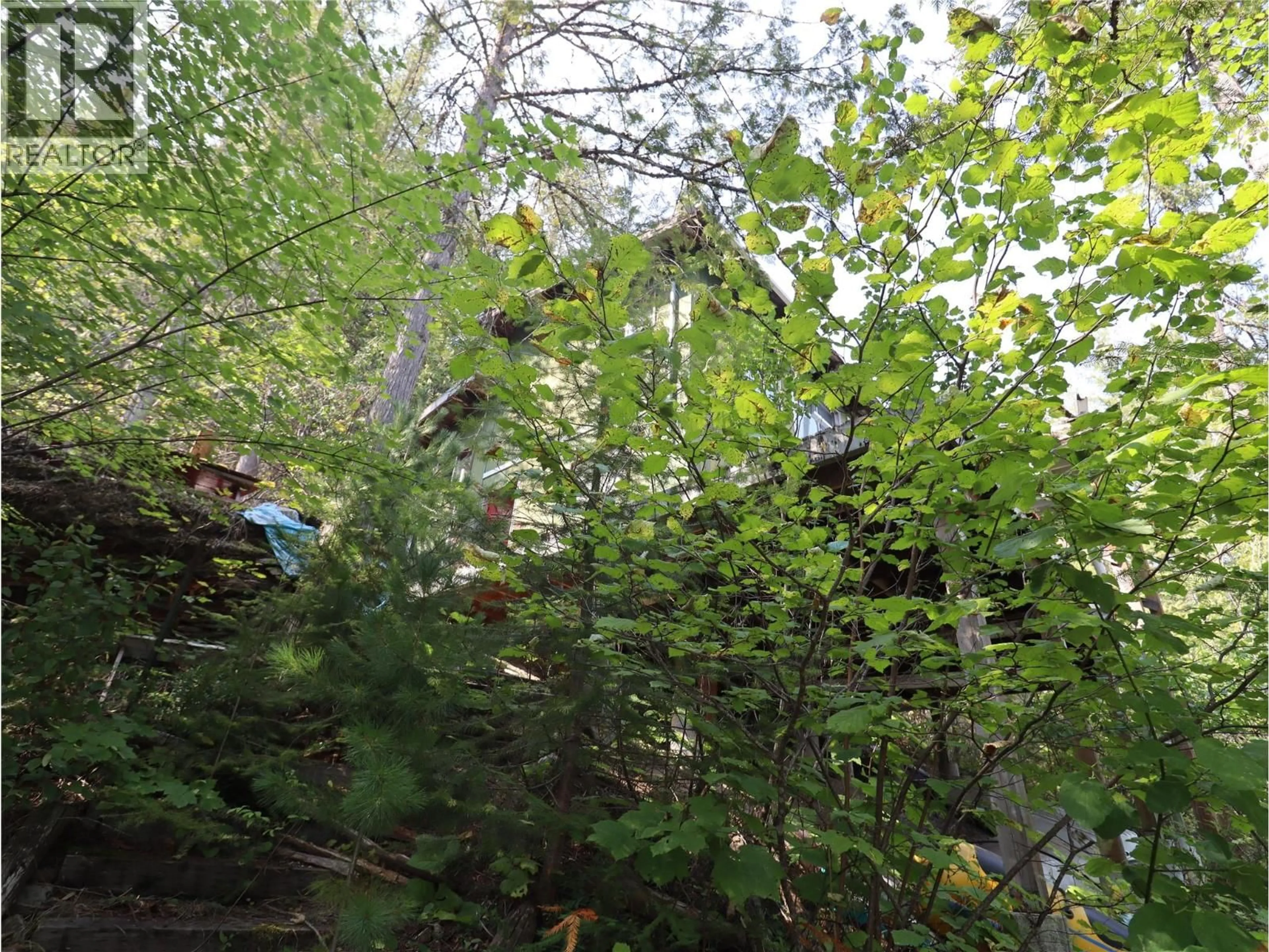 Blurry image for 3658 BOAT ACCESS WEST SIDE ROAD, Christina Lake British Columbia V0H1E0