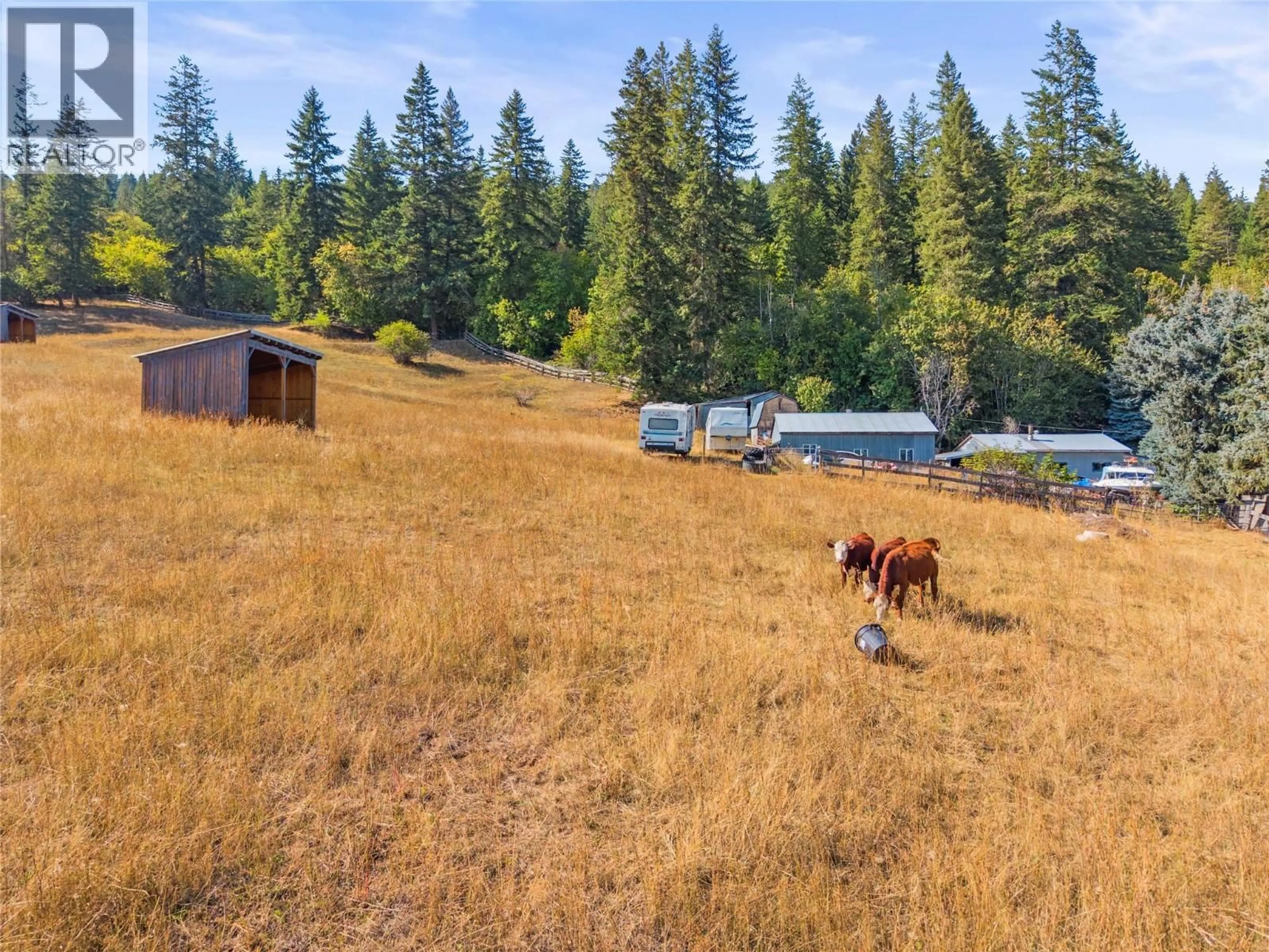 A pic from outside/outdoor area/front of a property/back of a property/a pic from drone, unknown for 6778 97A HIGHWAY, Grindrod British Columbia V0E1V0