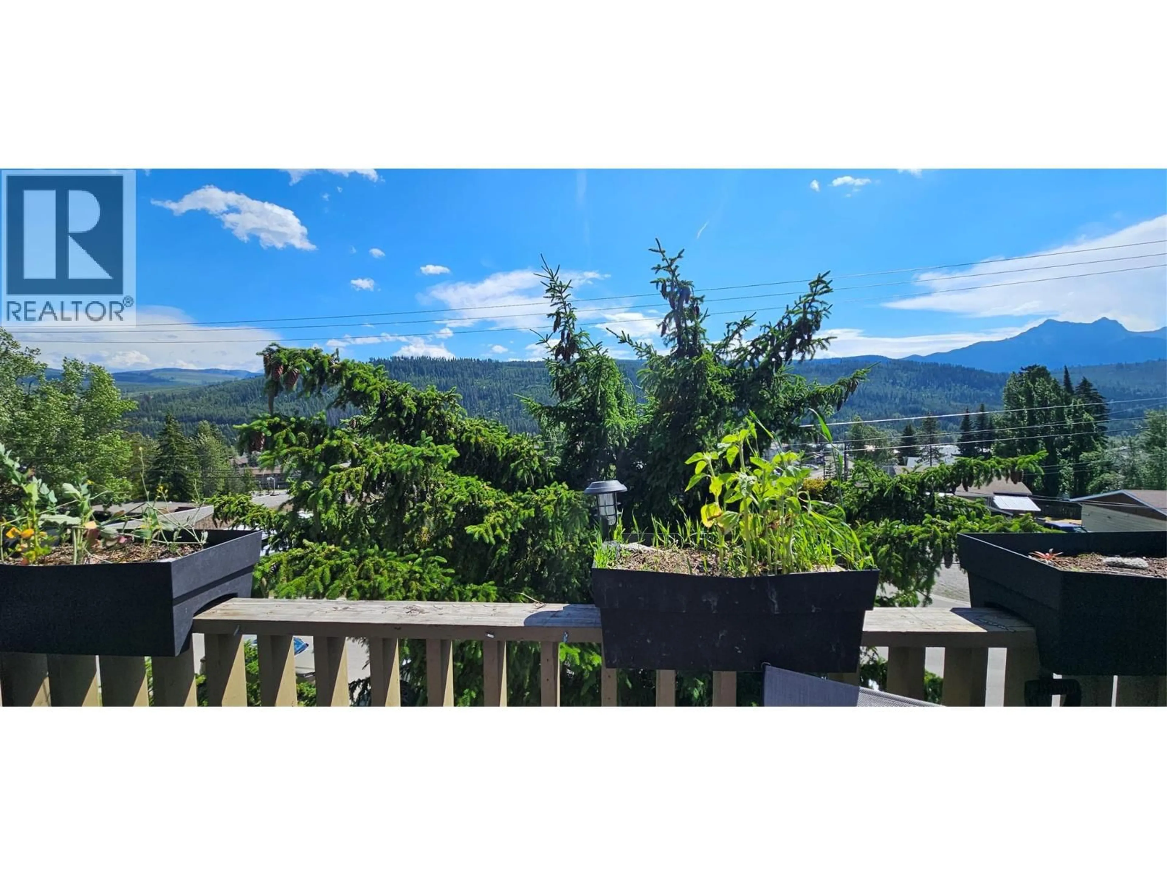 A pic from outside/outdoor area/front of a property/back of a property/a pic from drone, mountain view for 301A - 1335 ALPINE DRIVE, Elkford British Columbia V0B1H0
