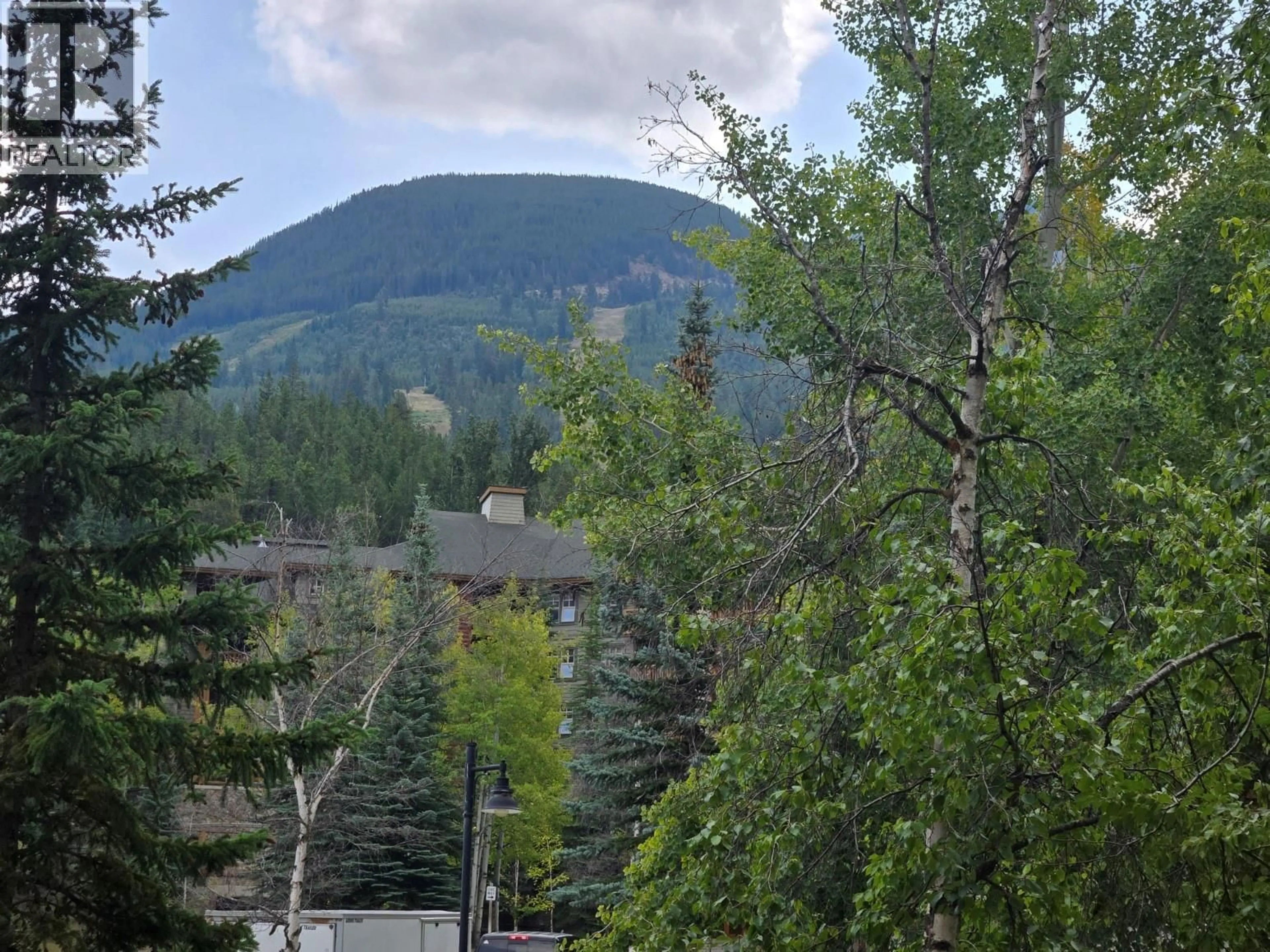 Blurry image for 201B - 2070 SUMMIT DRIVE, Panorama British Columbia V0A1T0