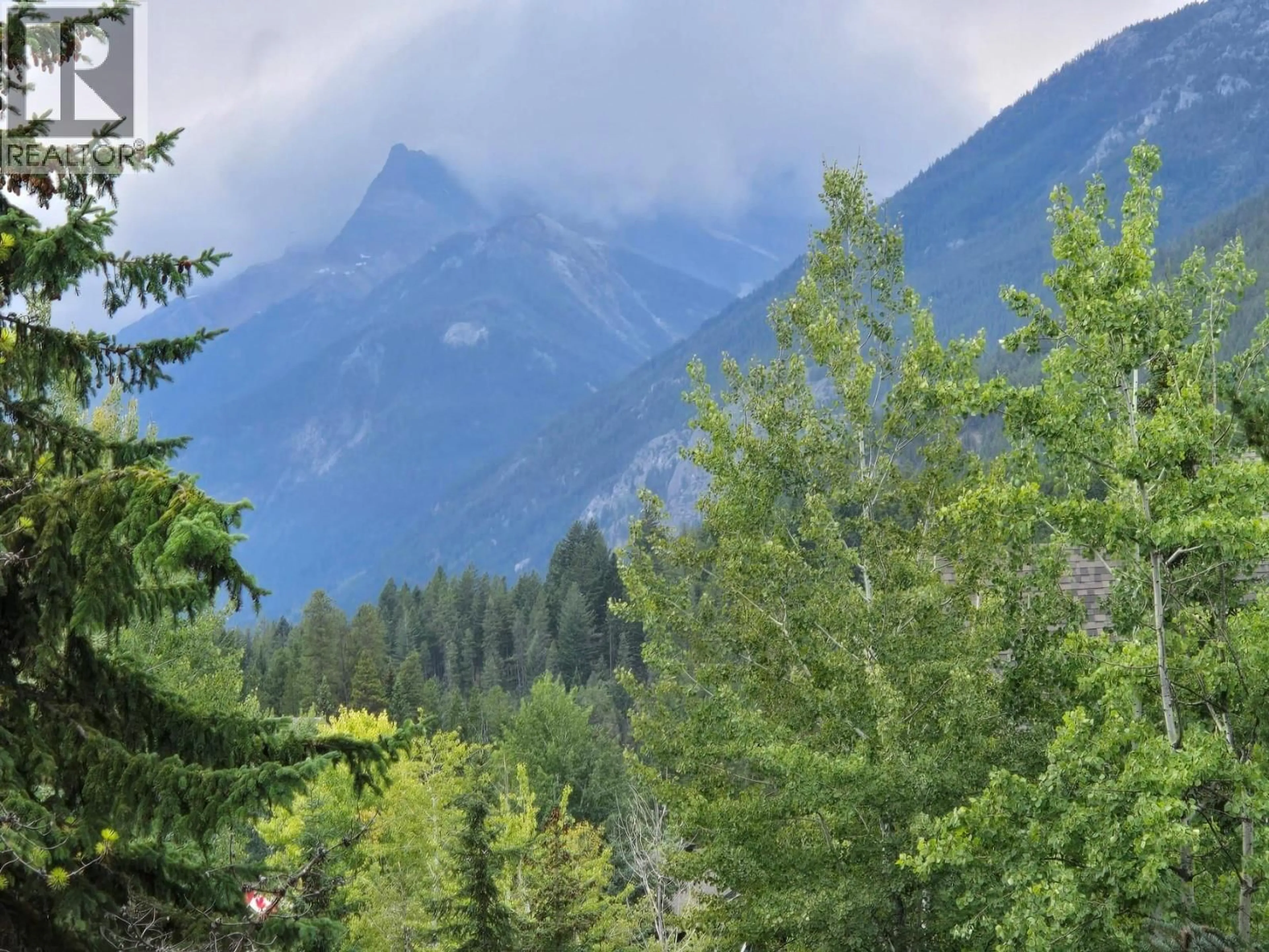 Blurry image for 201B - 2070 SUMMIT DRIVE, Panorama British Columbia V0A1T0