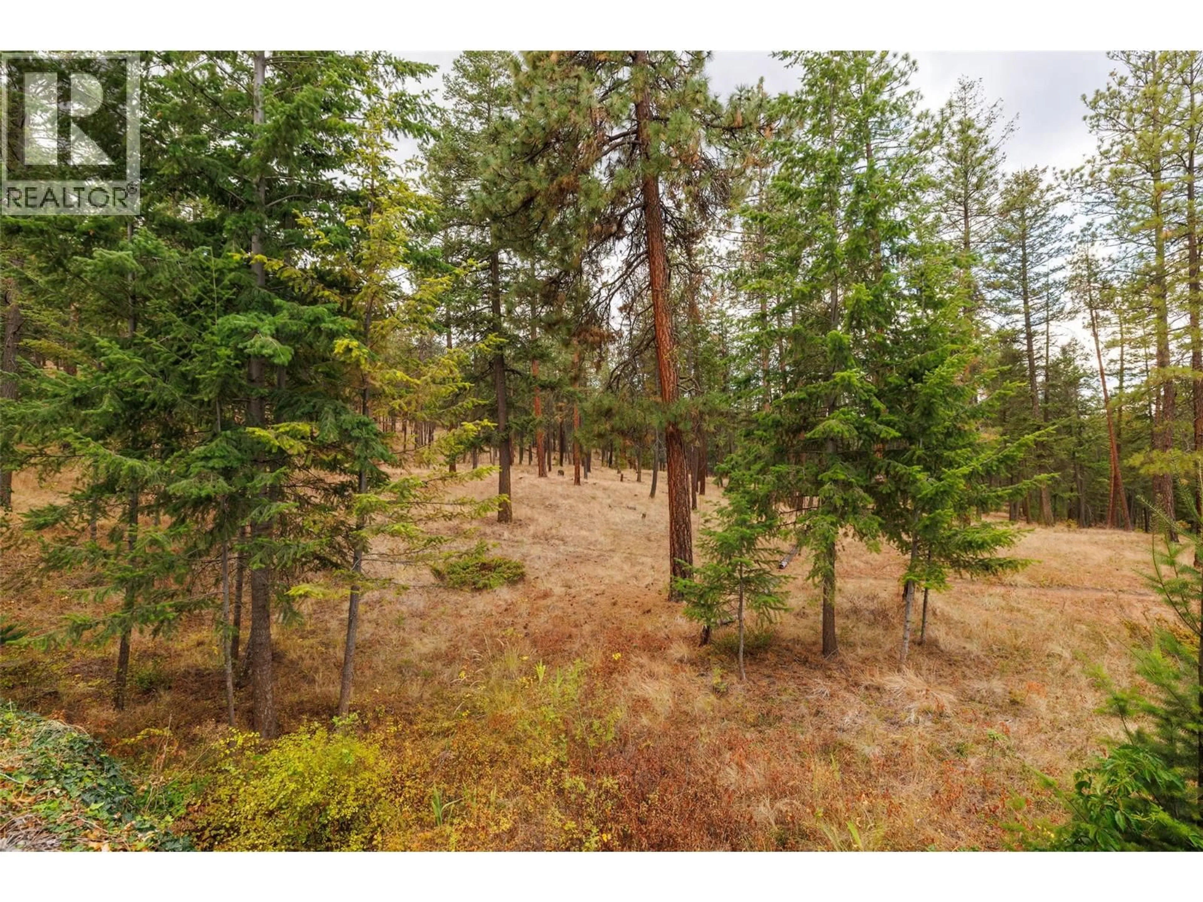 A pic from outside/outdoor area/front of a property/back of a property/a pic from drone, forest/trees view for 4170 GALLAGHERS FOREST SOUTH CRESCENT, Kelowna British Columbia V1W5E4