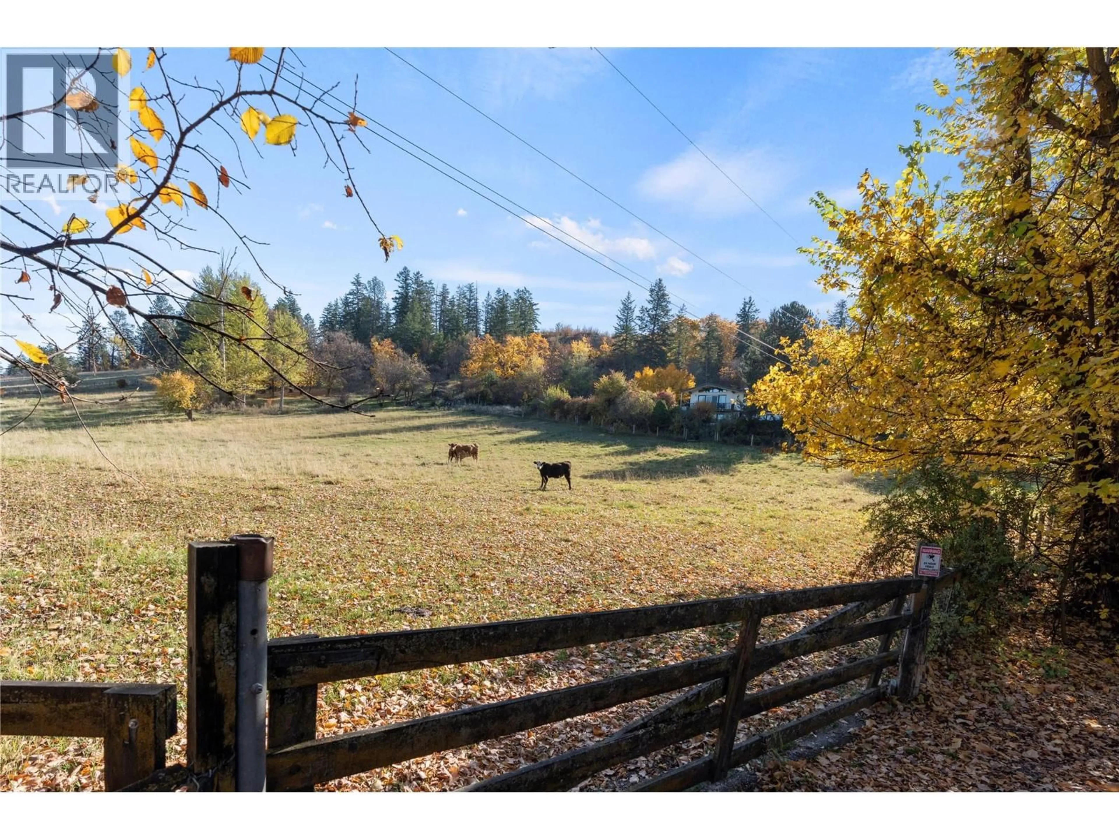 A pic from outside/outdoor area/front of a property/back of a property/a pic from drone, forest/trees view for 6709 COSENS BAY ROAD, Coldstream British Columbia V1B1N7