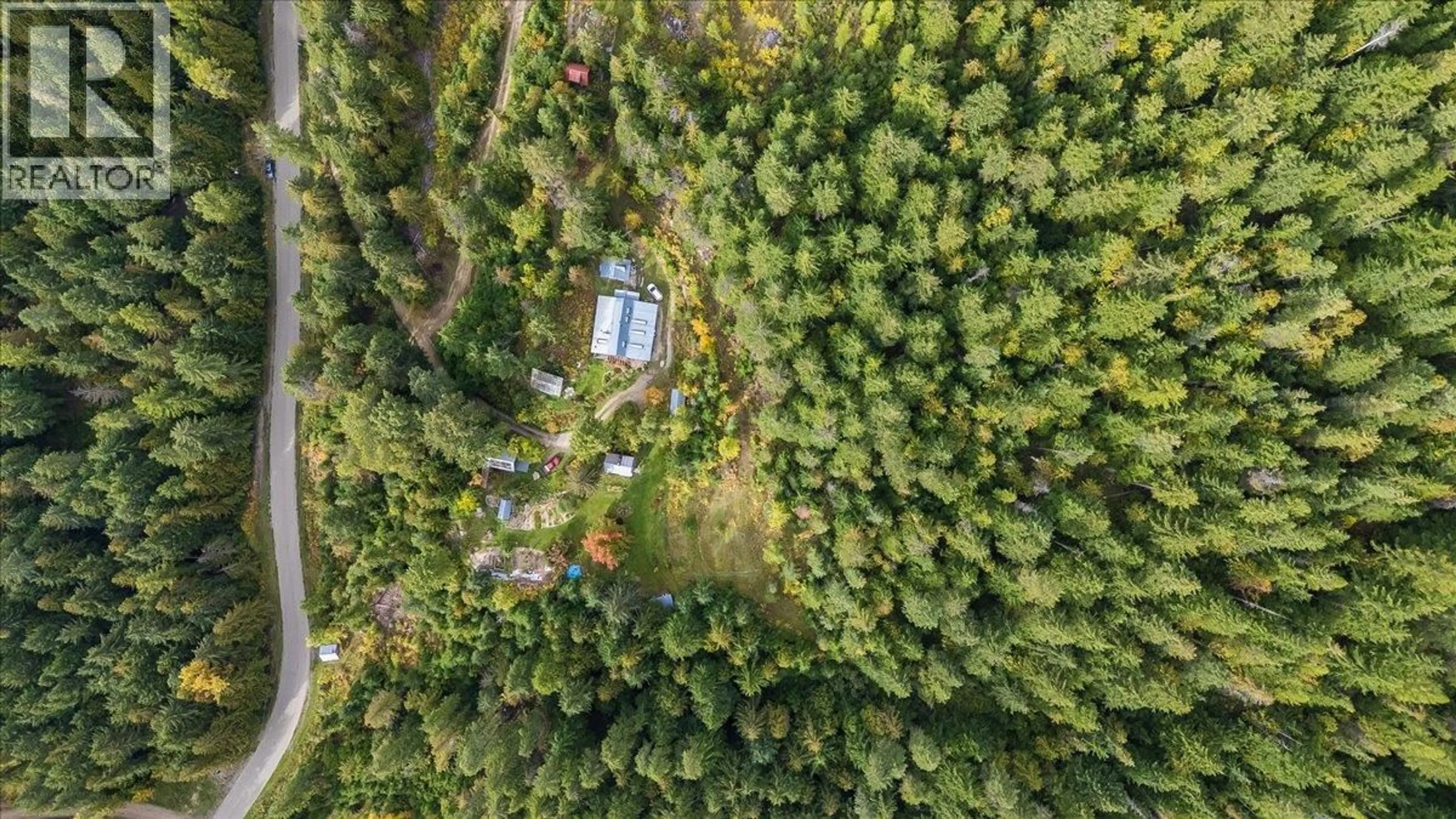 A pic from outside/outdoor area/front of a property/back of a property/a pic from drone, forest/trees view for 8494 RED MOUNTAIN ROAD, Silverton British Columbia V0G1S0