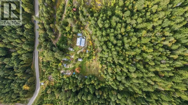 8494 RED MOUNTAIN ROAD, Silverton 3