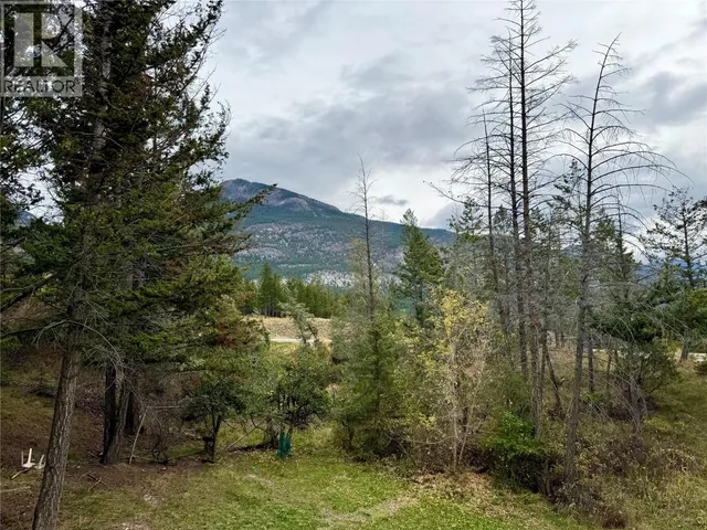 4978 TIMBERSIDE PLACE, Invermere 2