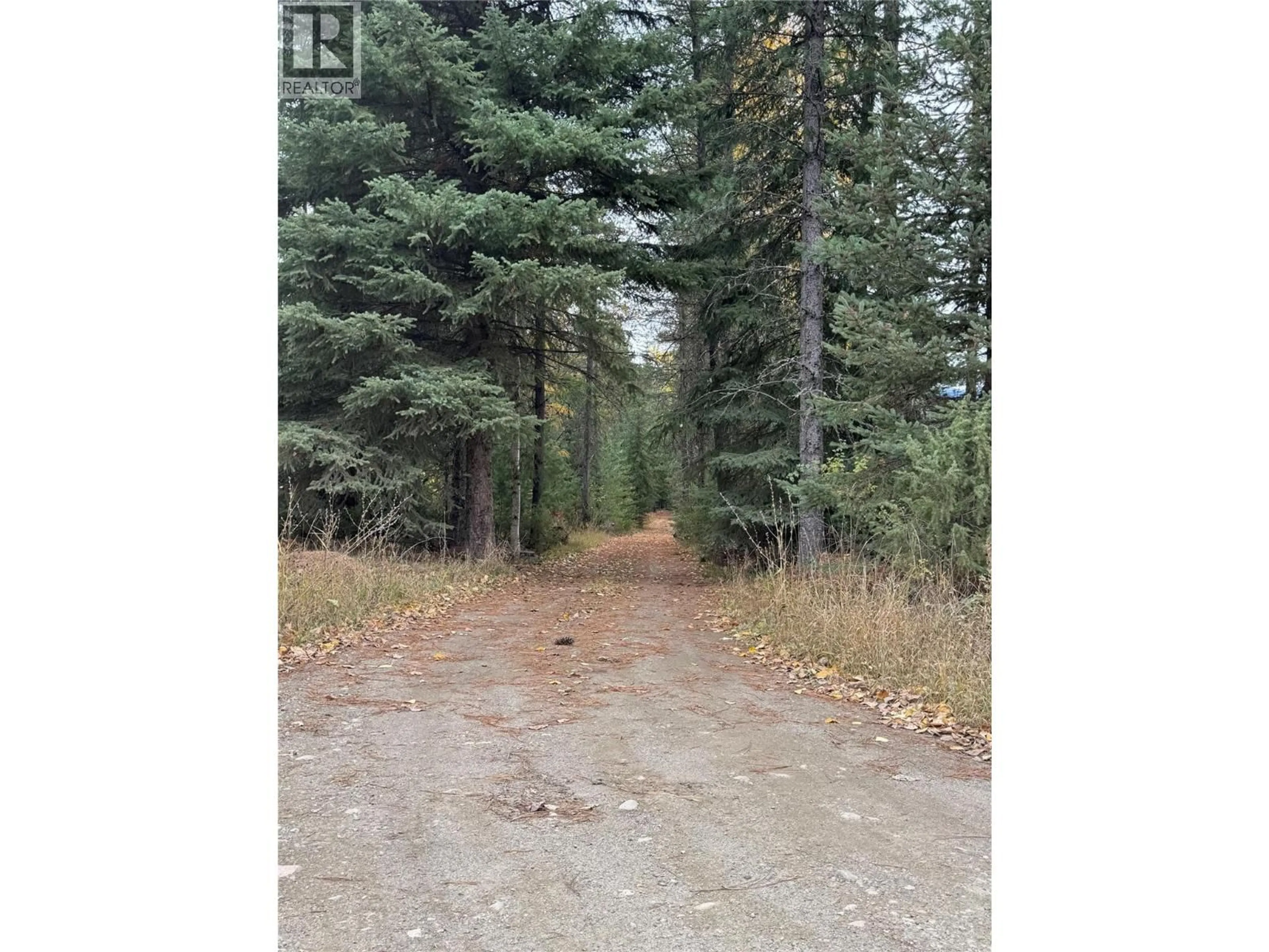 Blurry image for 125 WHATSHAN SETTLEMENT ROAD, Edgewood British Columbia V0G1J0