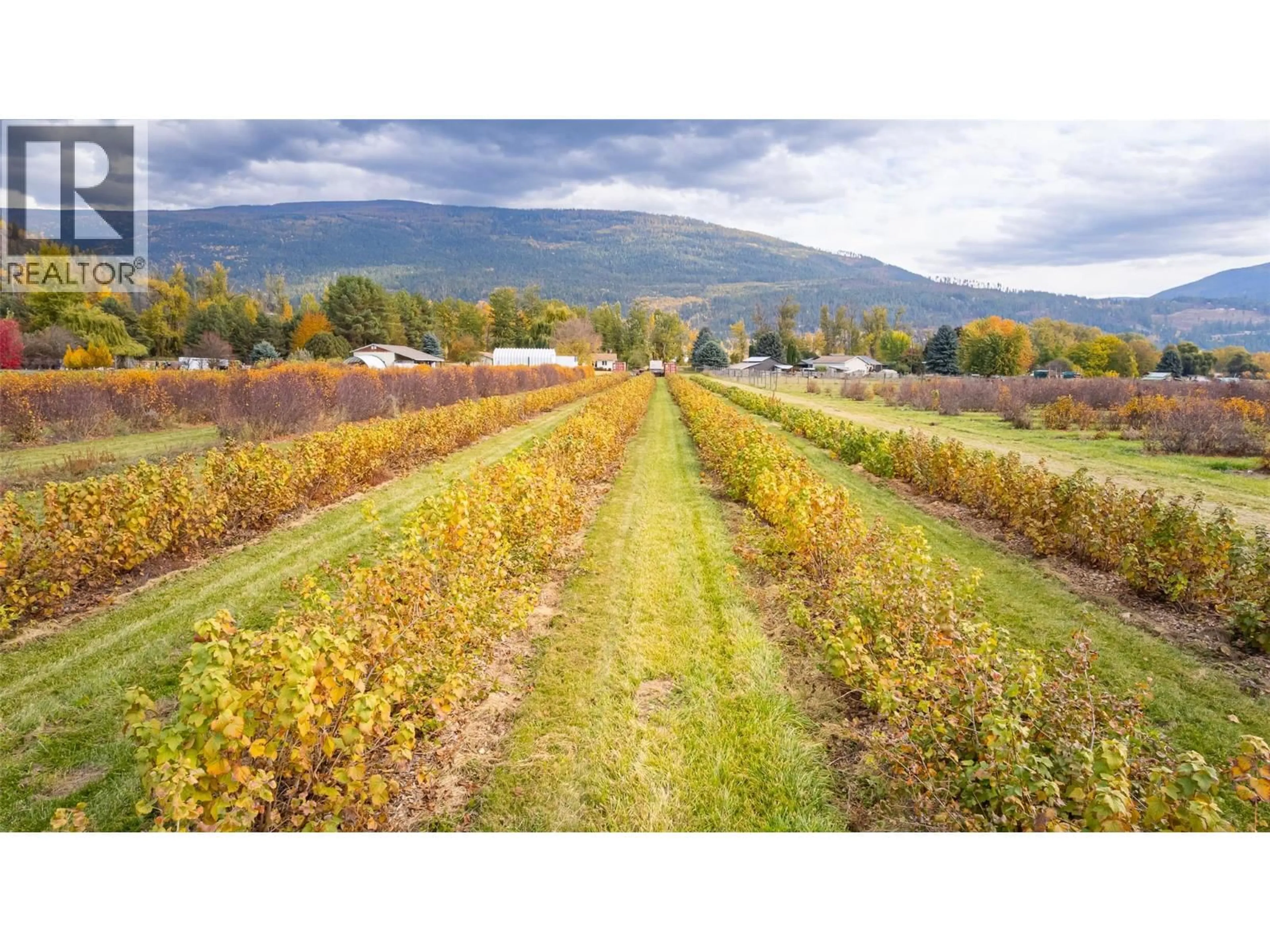 Blurry image for 1331 CHANNEL ROAD, Wynndel British Columbia V0B2N1