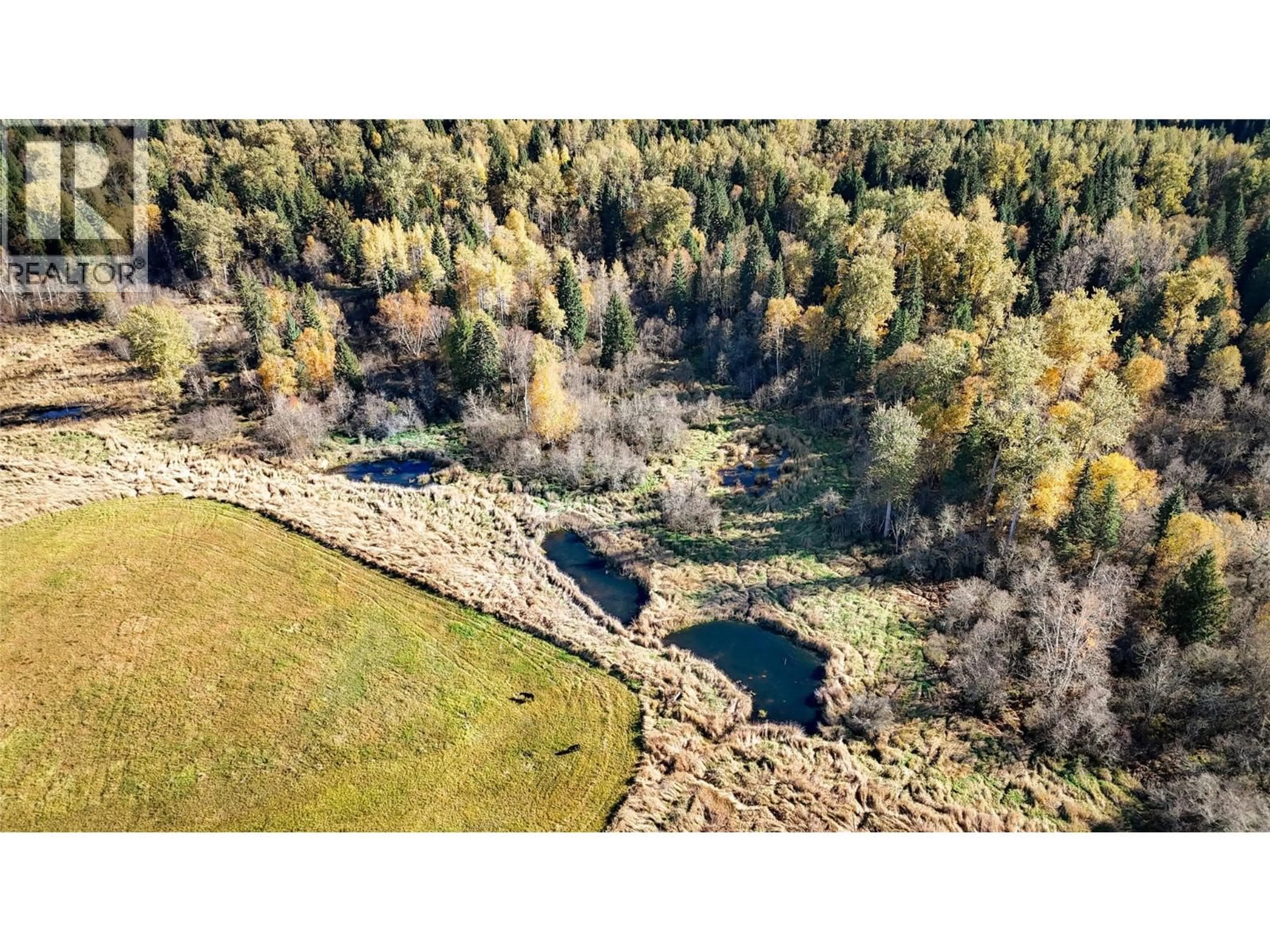 A pic from outside/outdoor area/front of a property/back of a property/a pic from drone, forest/trees view for 13226 HIGHWAY 31 OTHER, Meadow Creek British Columbia V0G1N0