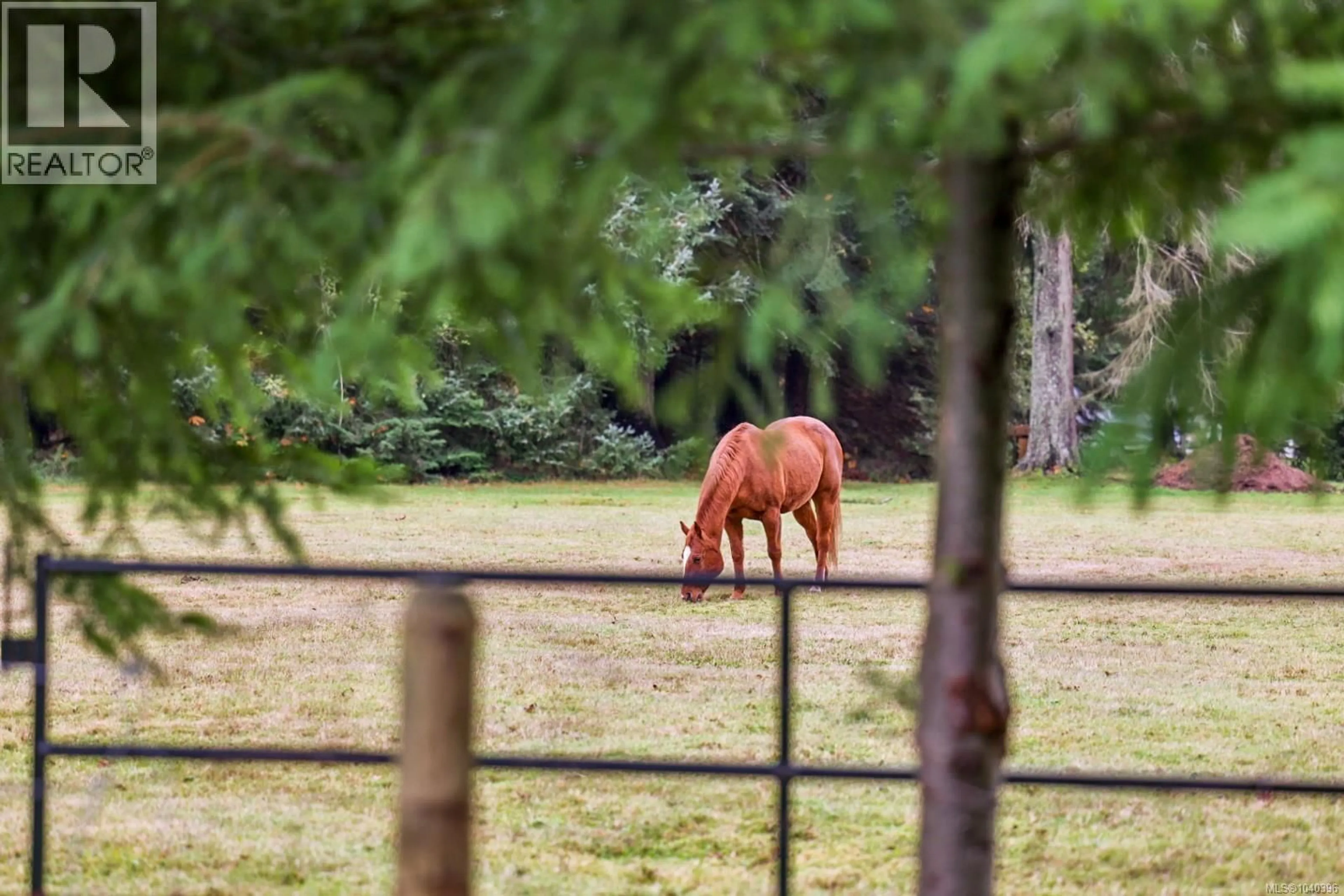 Blurry image for 10 - 48 MCPHEDRAN ROAD SOUTH, Campbell River British Columbia V9W3C6