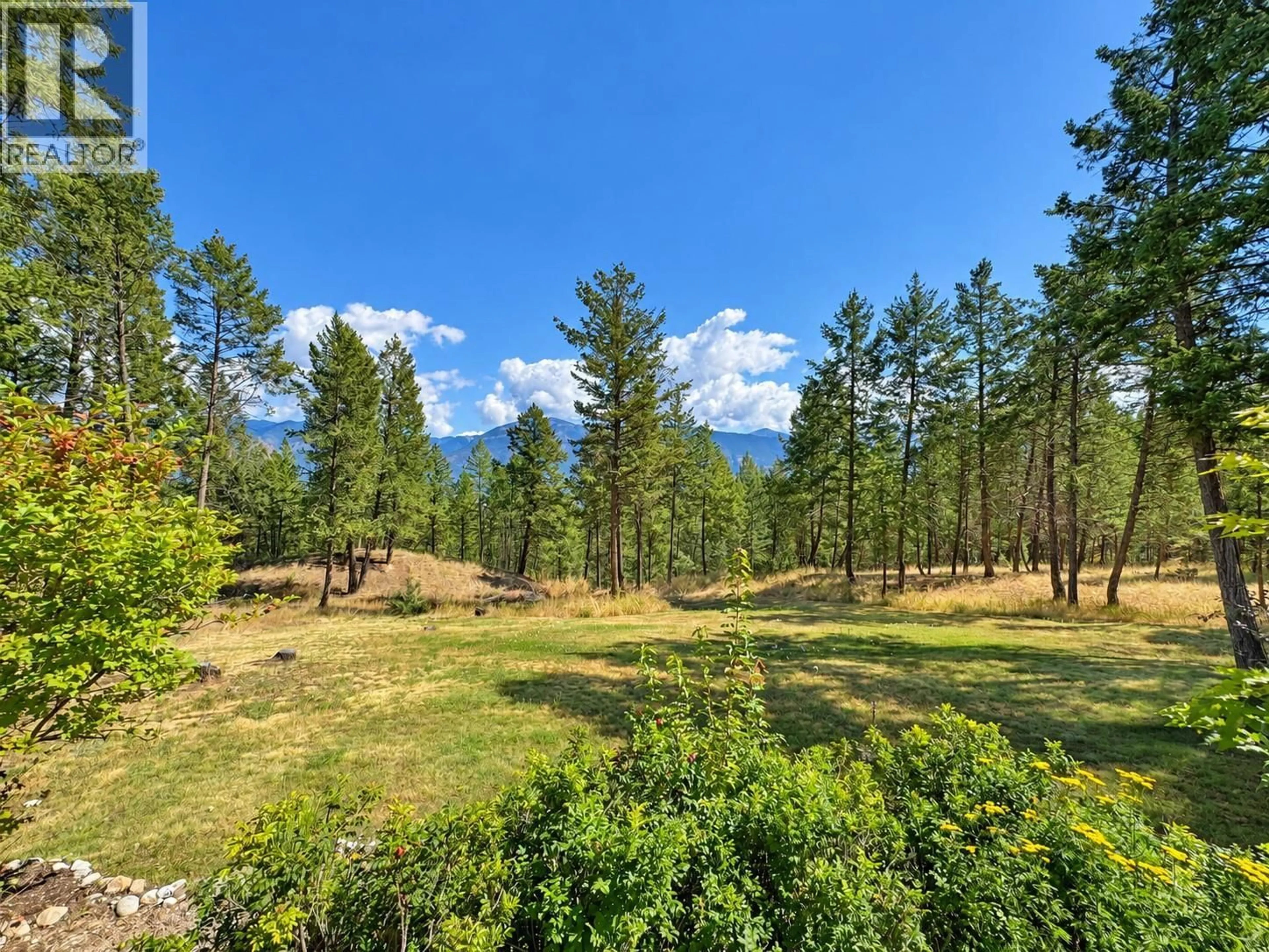 A pic from outside/outdoor area/front of a property/back of a property/a pic from drone, forest/trees view for 3 - 1630 JOHNSTON ROAD, Invermere British Columbia V0A1K0
