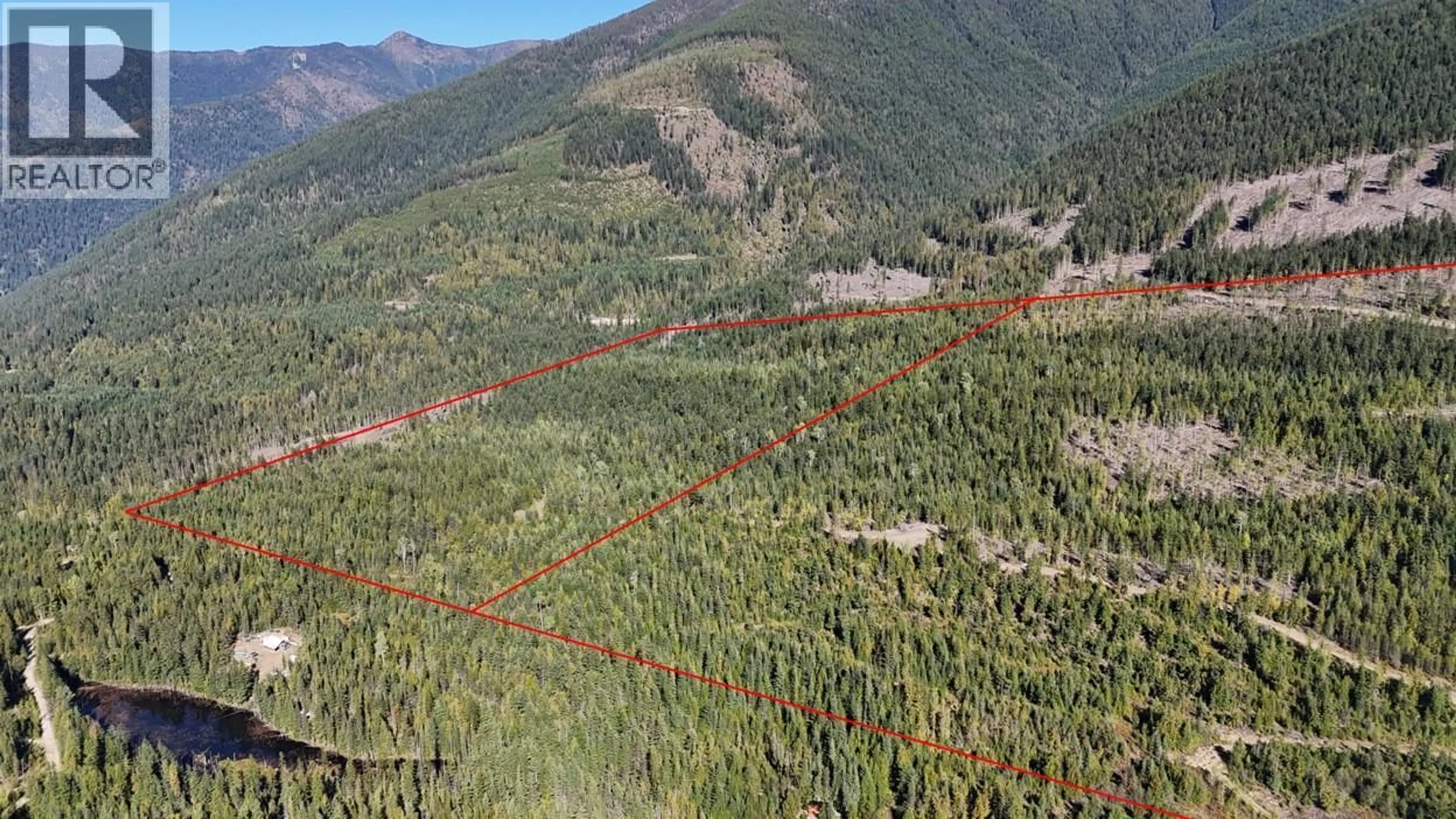 A pic from outside/outdoor area/front of a property/back of a property/a pic from drone, forest/trees view for SL 83 & 91 MACFARLANE 27 ROAD, Gray Creek British Columbia V0B1S0