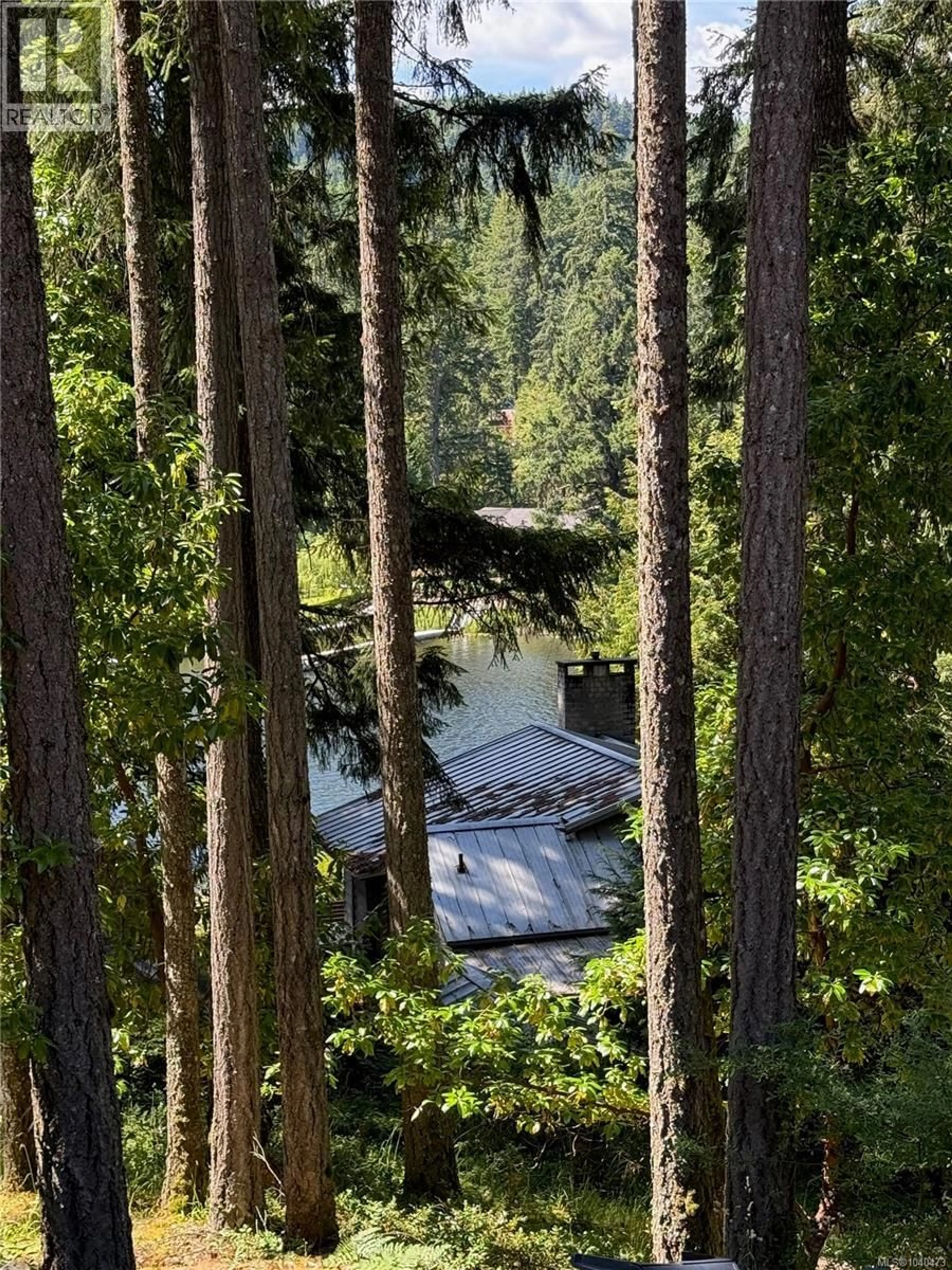 A pic from outside/outdoor area/front of a property/back of a property/a pic from drone, forest/trees view for 2446 SOMMER LANE, Shawnigan Lake British Columbia V0R2W1