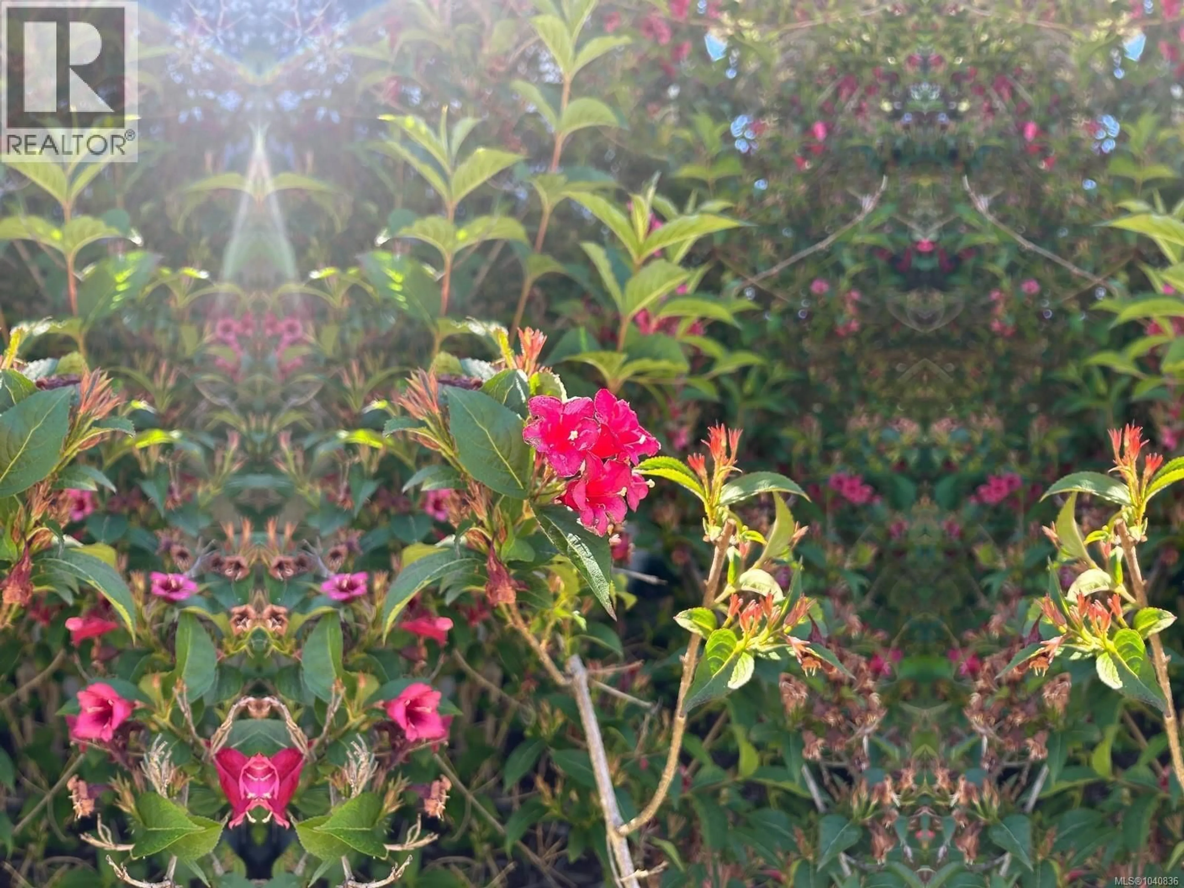 Blurry image for 2695 PAULA PLACE, Courtenay British Columbia V9N6H9