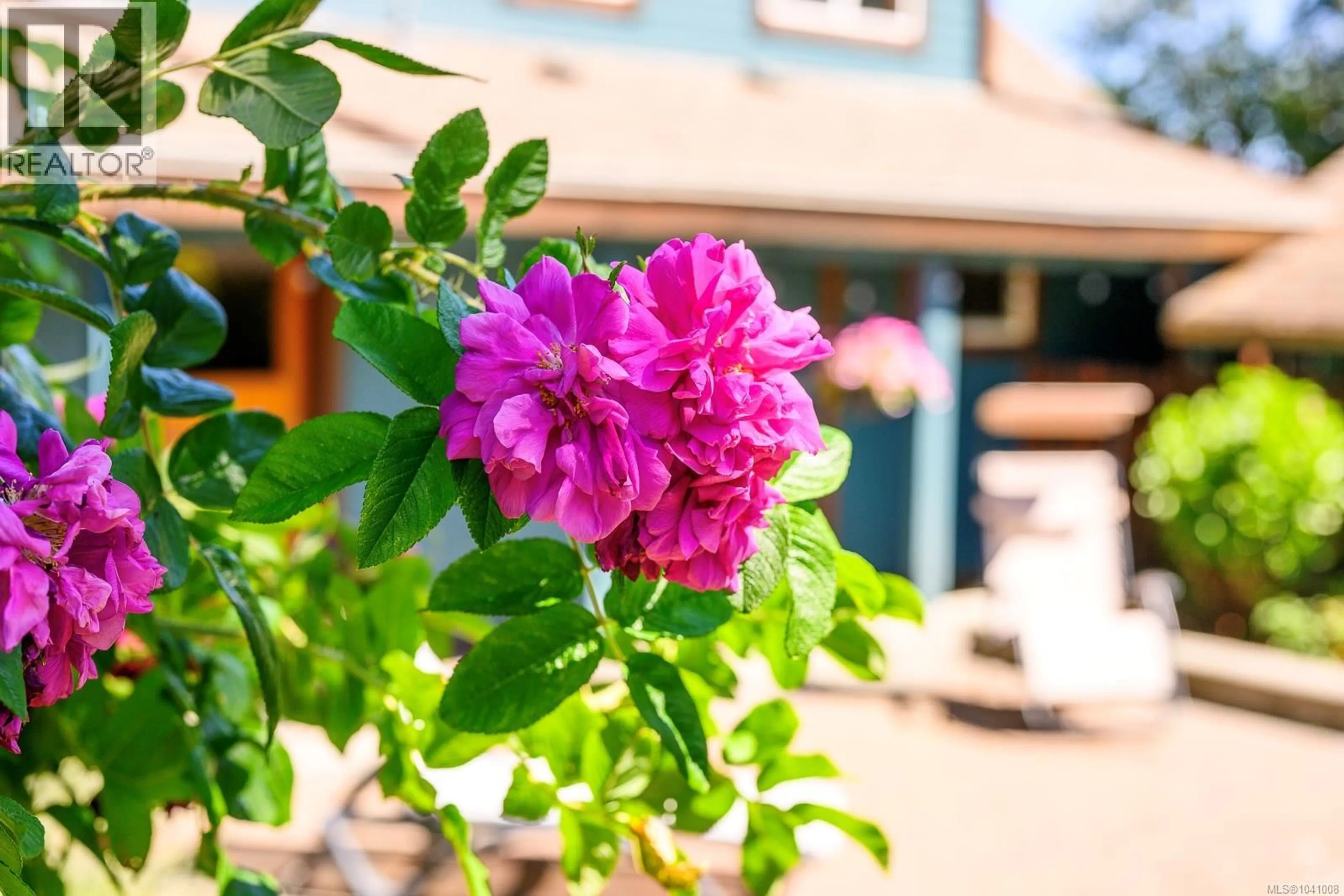 Patio, street for 297 RODELLO STREET, Comox British Columbia V9M1E2