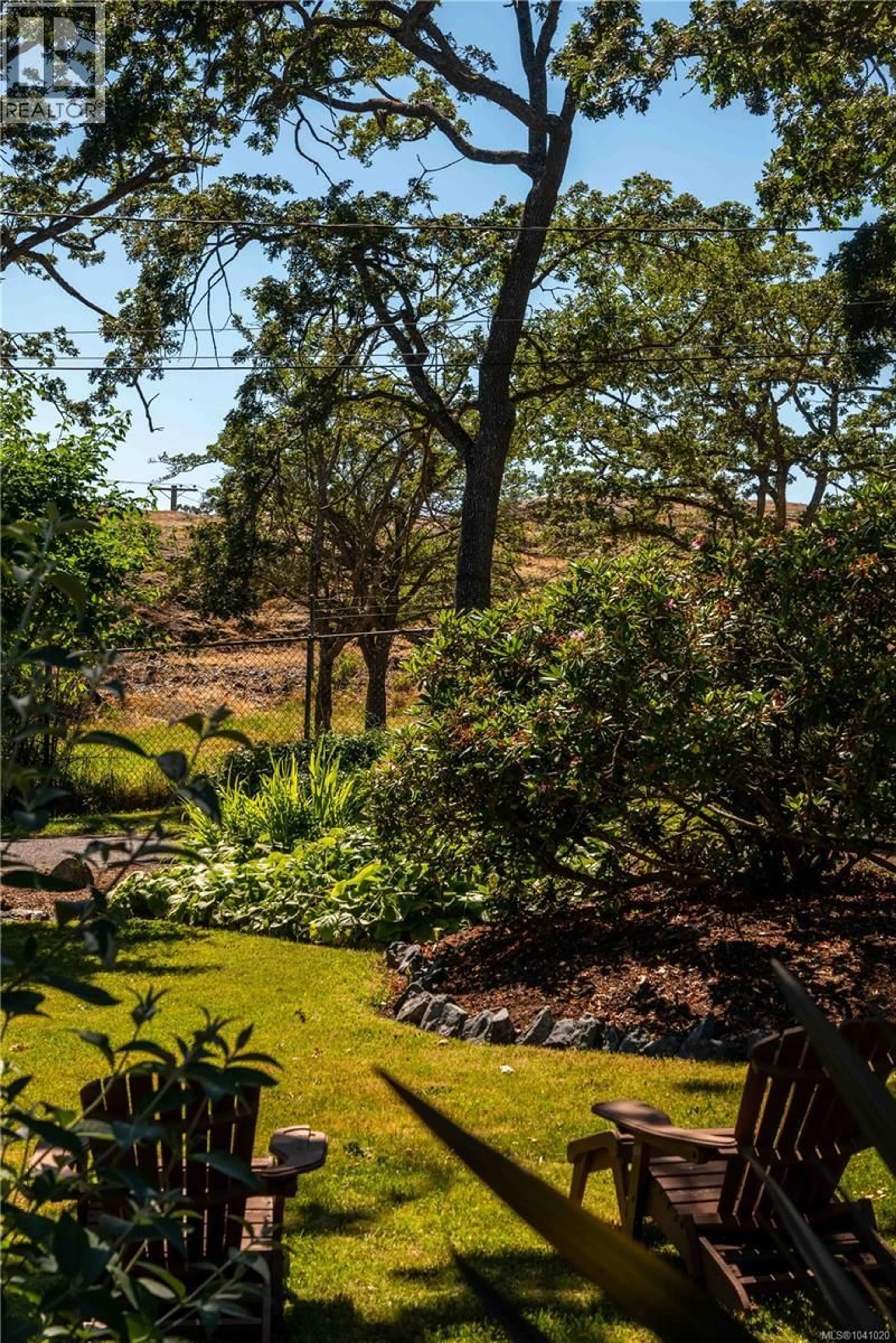A pic from outside/outdoor area/front of a property/back of a property/a pic from drone, forest/trees view for 1562 RICHARDSON STREET, Victoria British Columbia V8S1R3