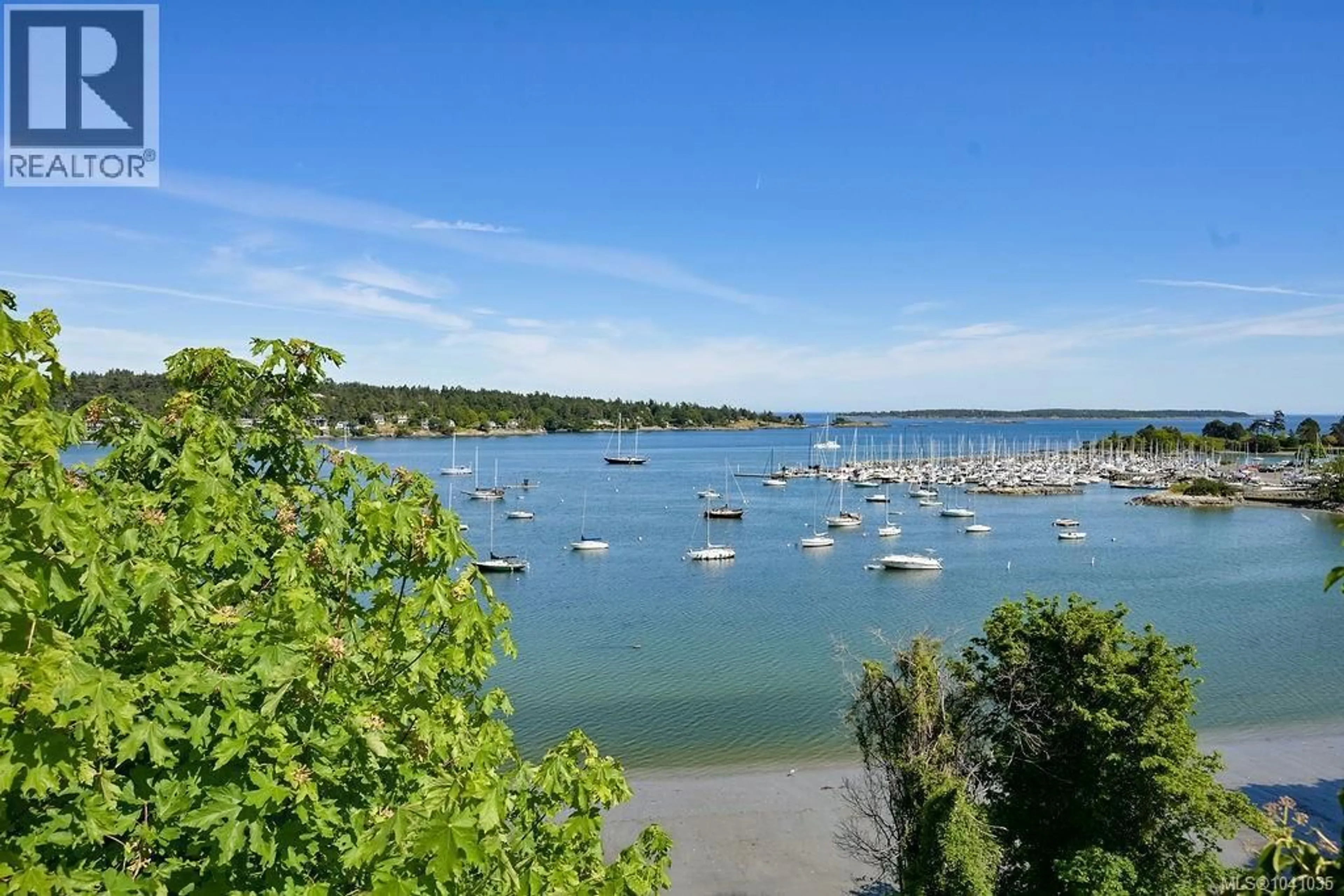 A pic from outside/outdoor area/front of a property/back of a property/a pic from drone, water/lake/river/ocean view for 3565 BEACH DRIVE, Oak Bay British Columbia V8R6M6