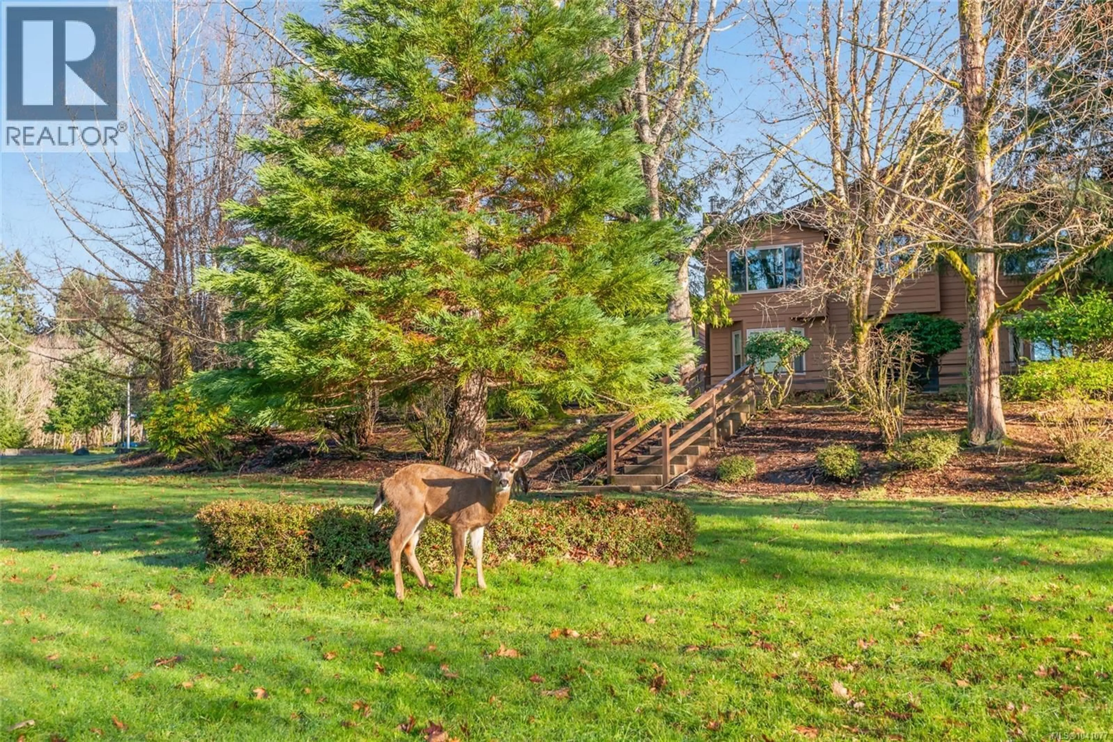 A pic from outside/outdoor area/front of a property/back of a property/a pic from drone, forest/trees view for 3776 ARGYLE WAY, Port Alberni British Columbia V9Y8A6