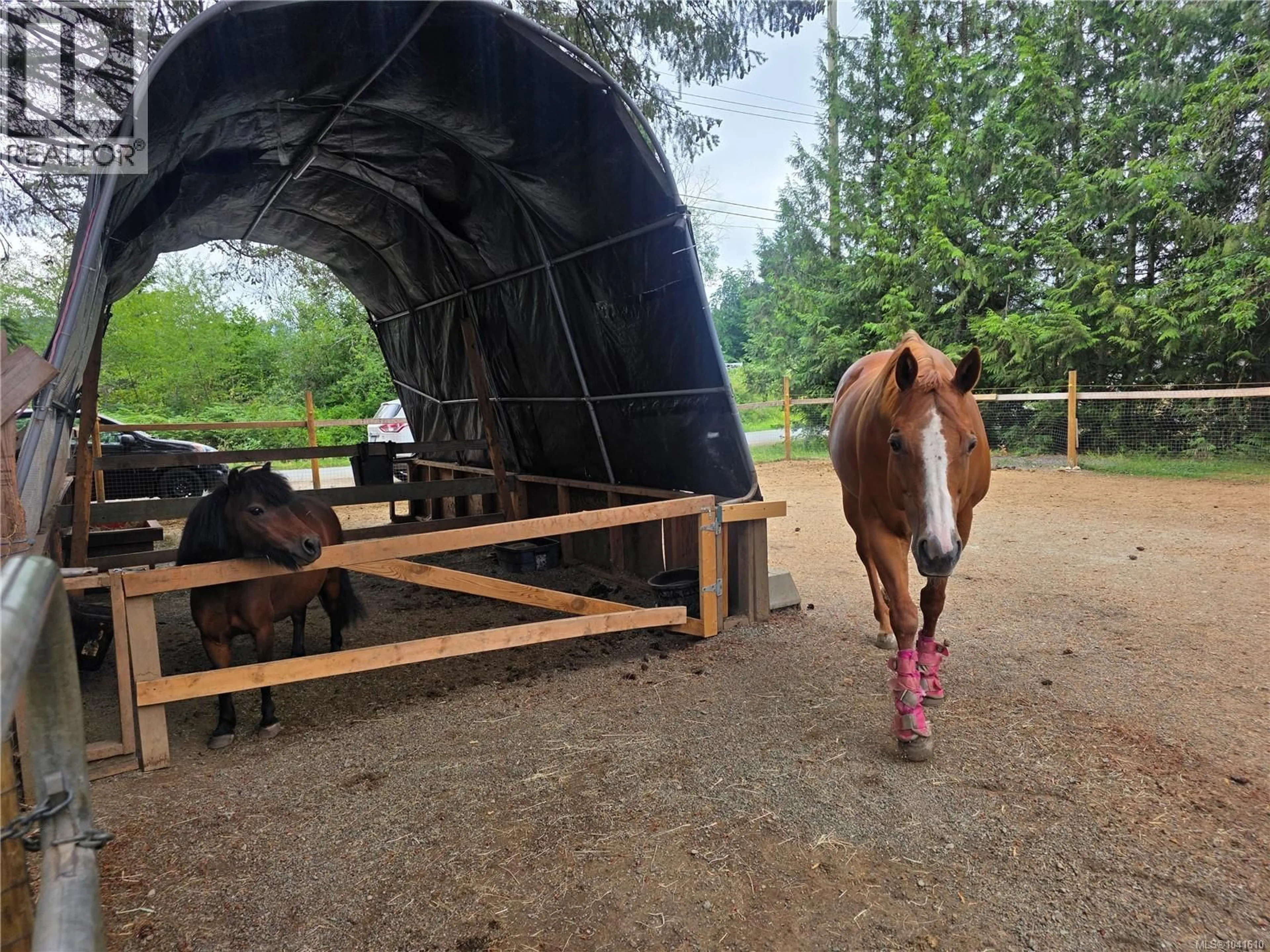 Blurry image for 6064 RENTON ROAD SOUTH, Port Alberni British Columbia V9Y8R8