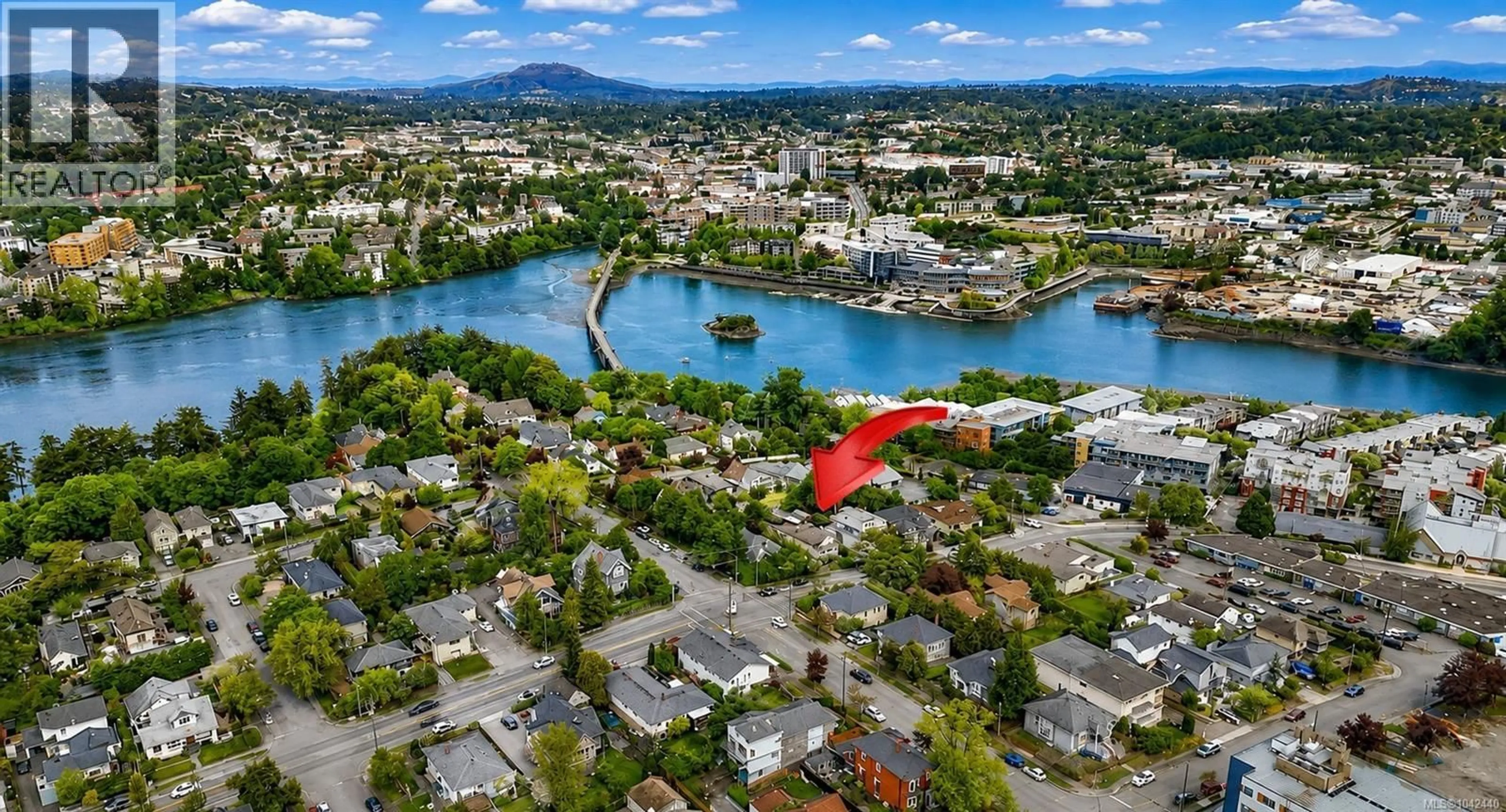 A pic from outside/outdoor area/front of a property/back of a property/a pic from drone, water/lake/river/ocean view for 221 SKINNER STREET, Victoria British Columbia V9A3B2