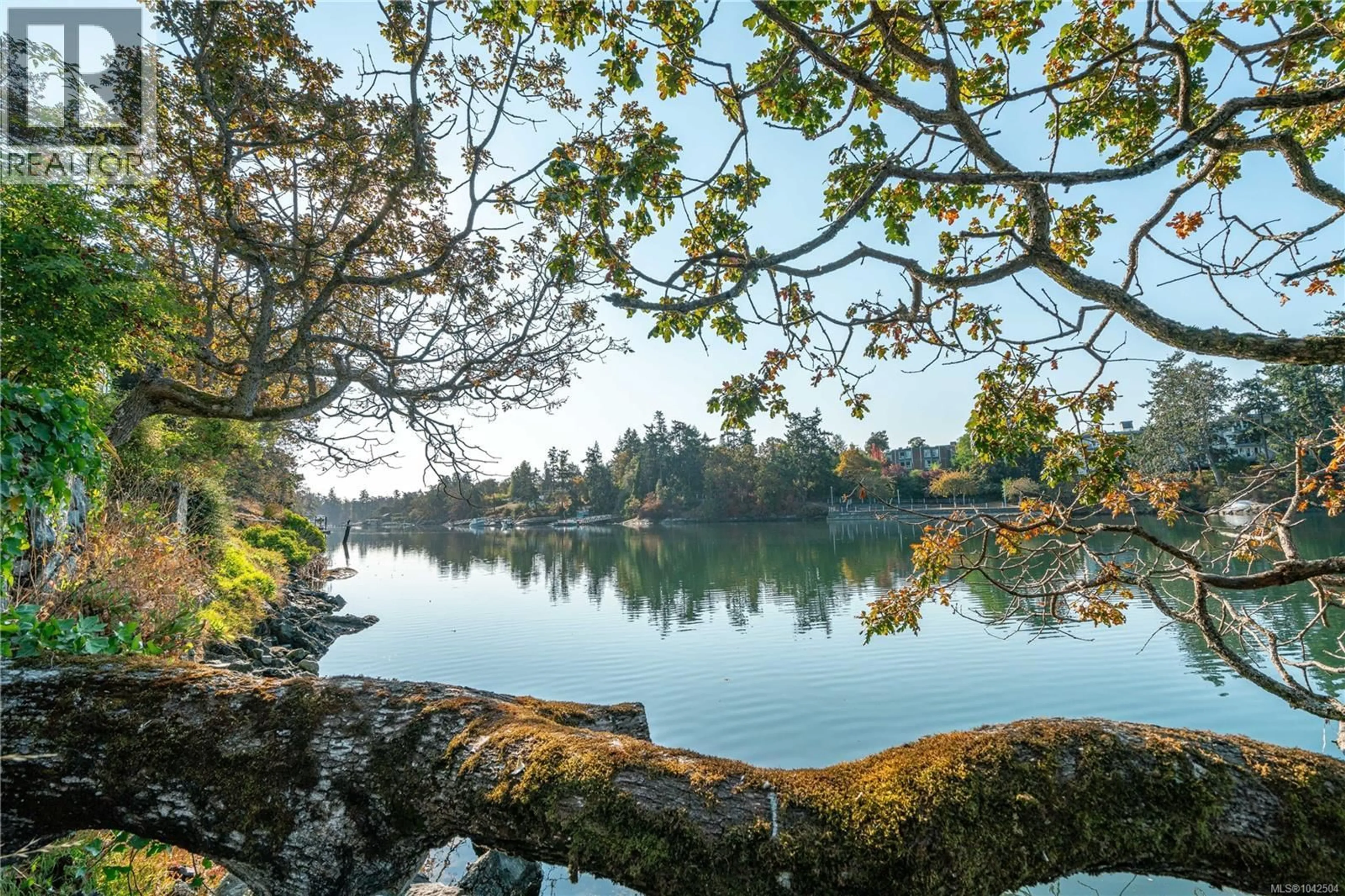 Unknown for 101 - 69 GORGE ROAD WEST, Saanich British Columbia V9A1L9