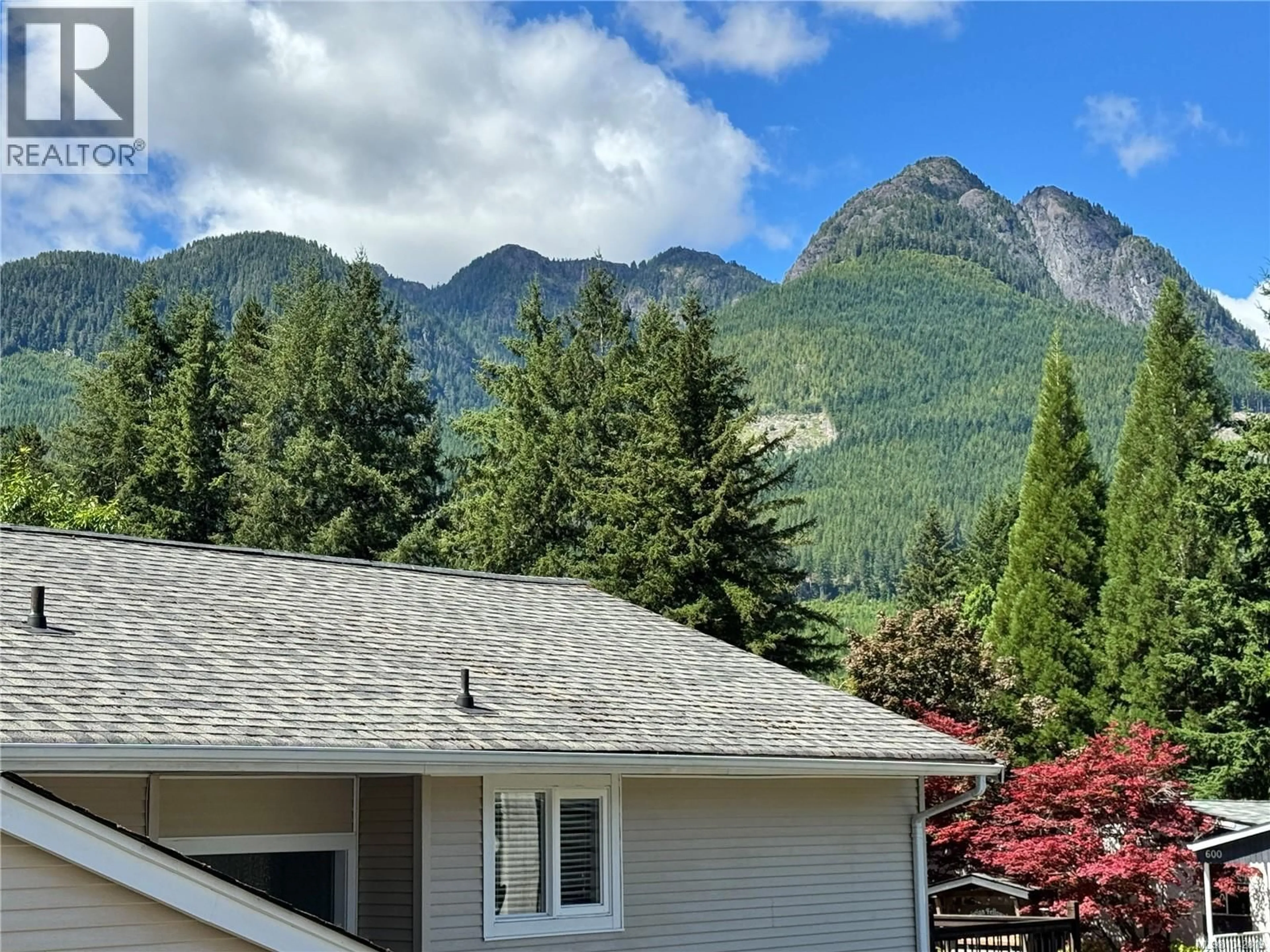 A pic from outside/outdoor area/front of a property/back of a property/a pic from drone, mountain view for 611 NIMPKISH DRIVE, Gold River British Columbia V0P1G0