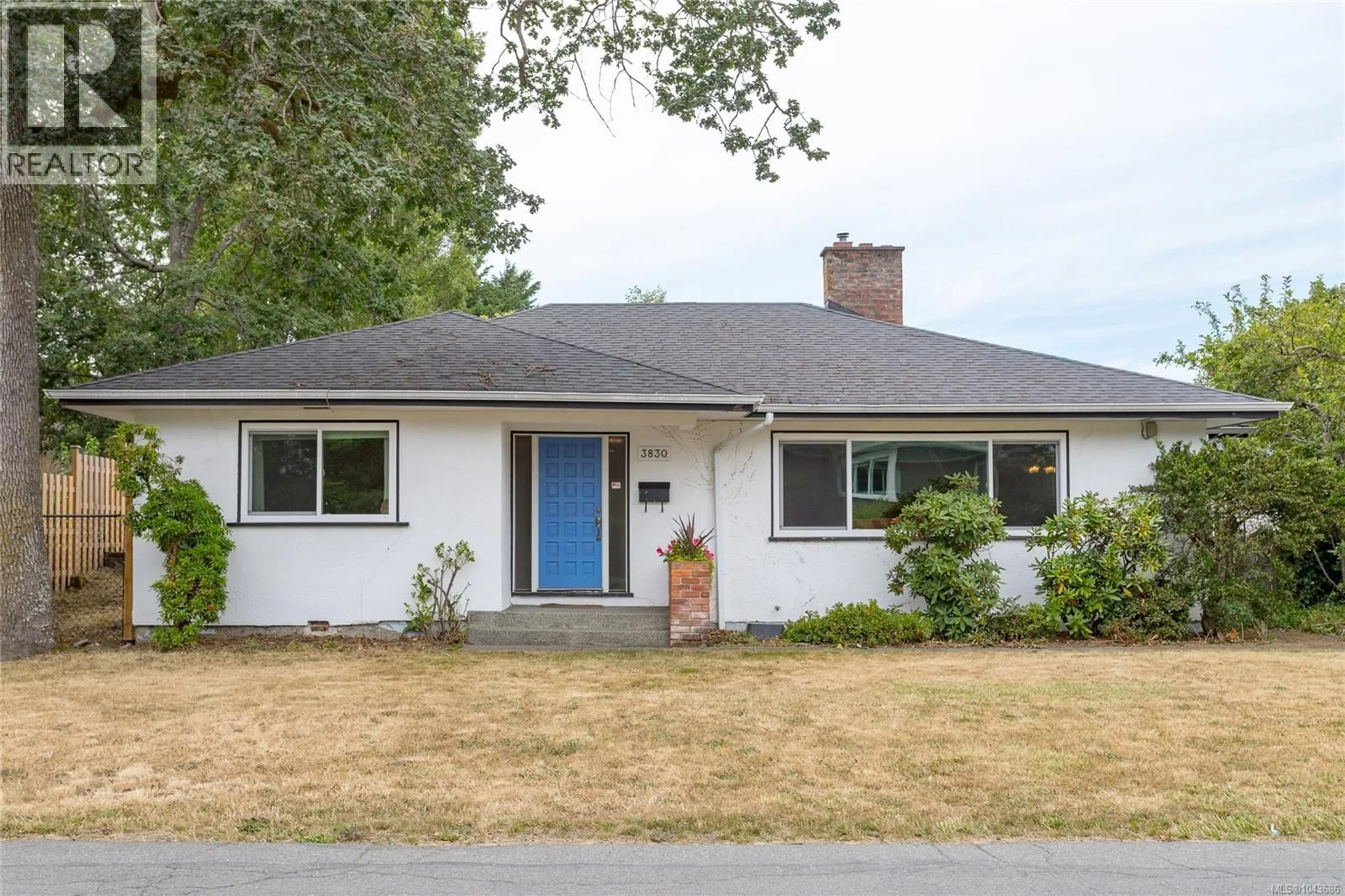 Home with vinyl exterior material, street for 3830 PALO ALTO STREET, Saanich British Columbia V8P4S3