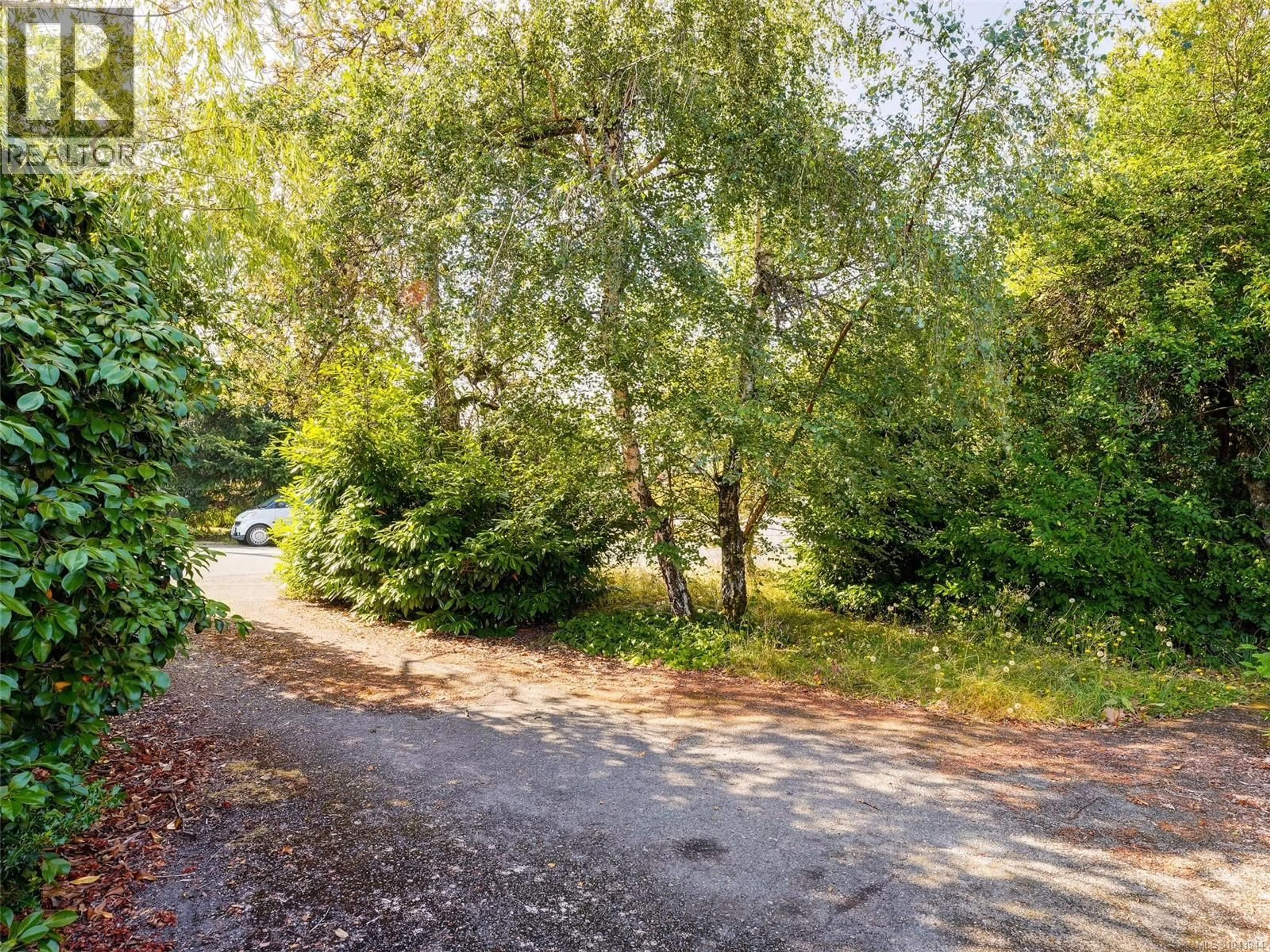 A pic from outside/outdoor area/front of a property/back of a property/a pic from drone, forest/trees view for 1170 DIGNAN ROAD, Central Saanich British Columbia V8M1H4
