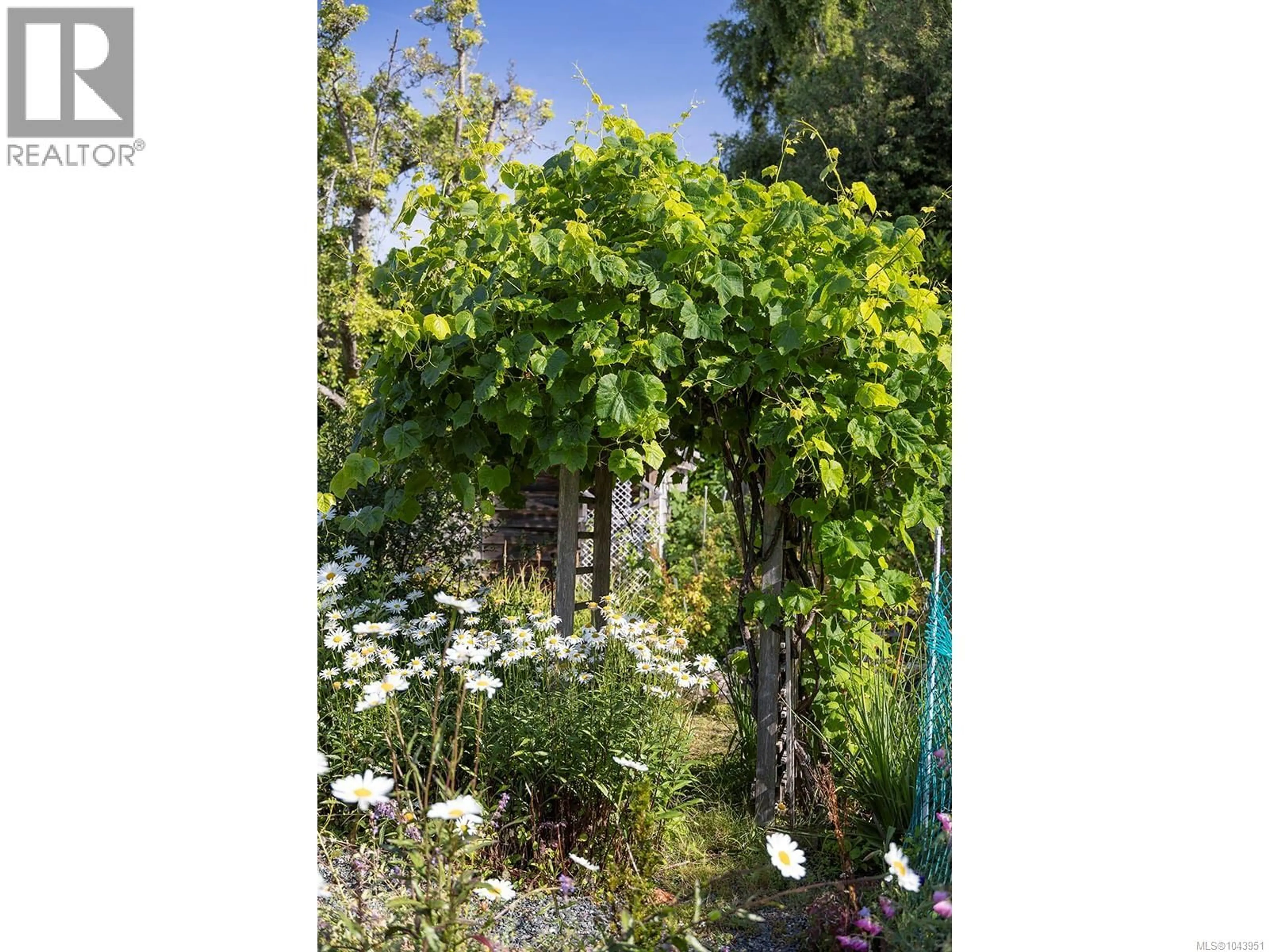 Patio, forest/trees view for 1630 PINEWOOD AVENUE, Victoria British Columbia V8S1K7